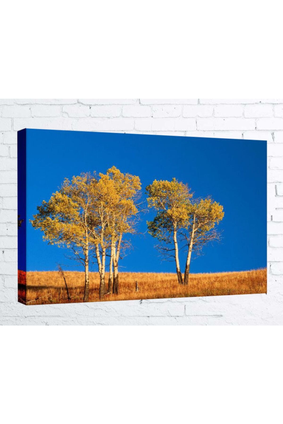 Lukas Kanvas Tablo - 50x70 Cm - Ağaç- Agc010