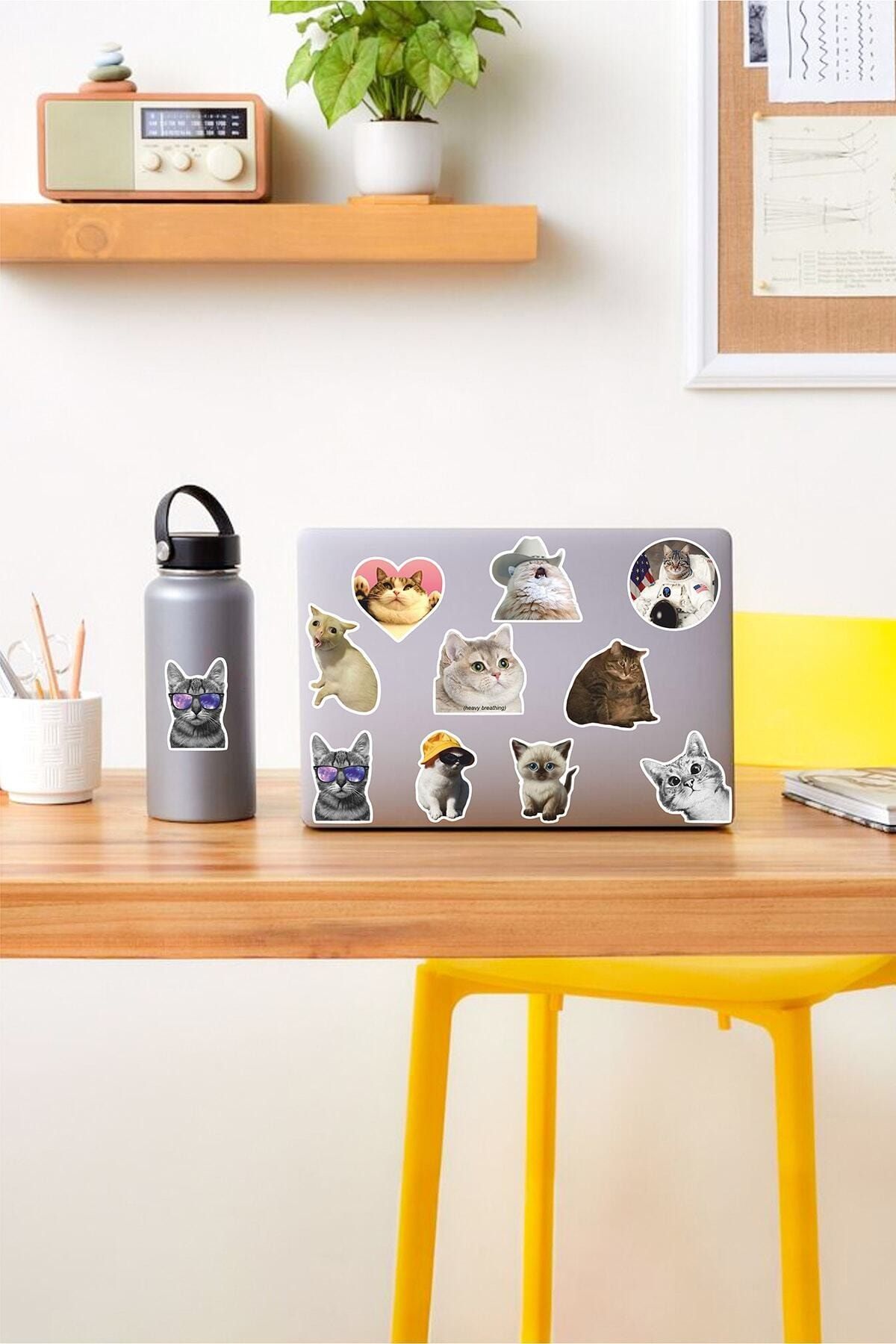 Genel Markalar Sticker - Cats Temalı Laptop Notebook Tablet Sticker Set