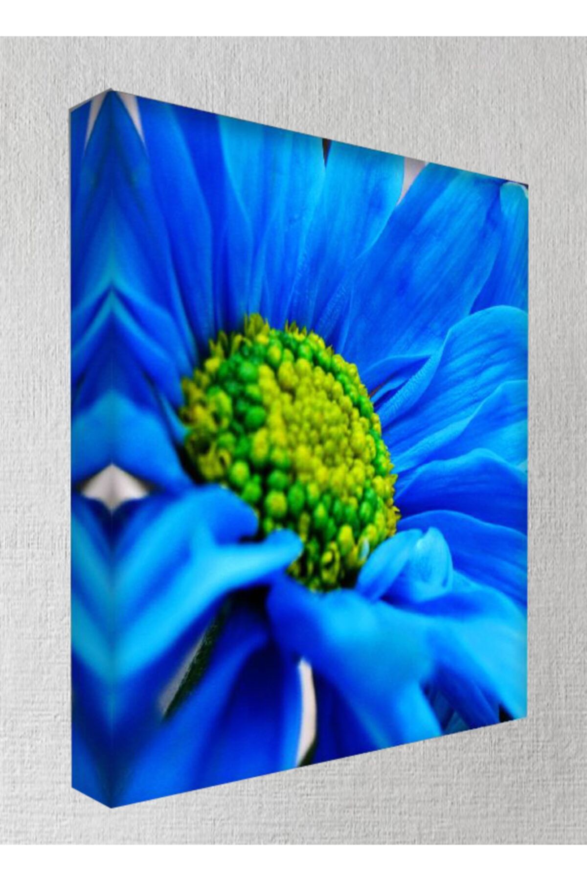 Lukas Kanvas Tablo - 50x70 Cm - Çiçek Resimleri - C157