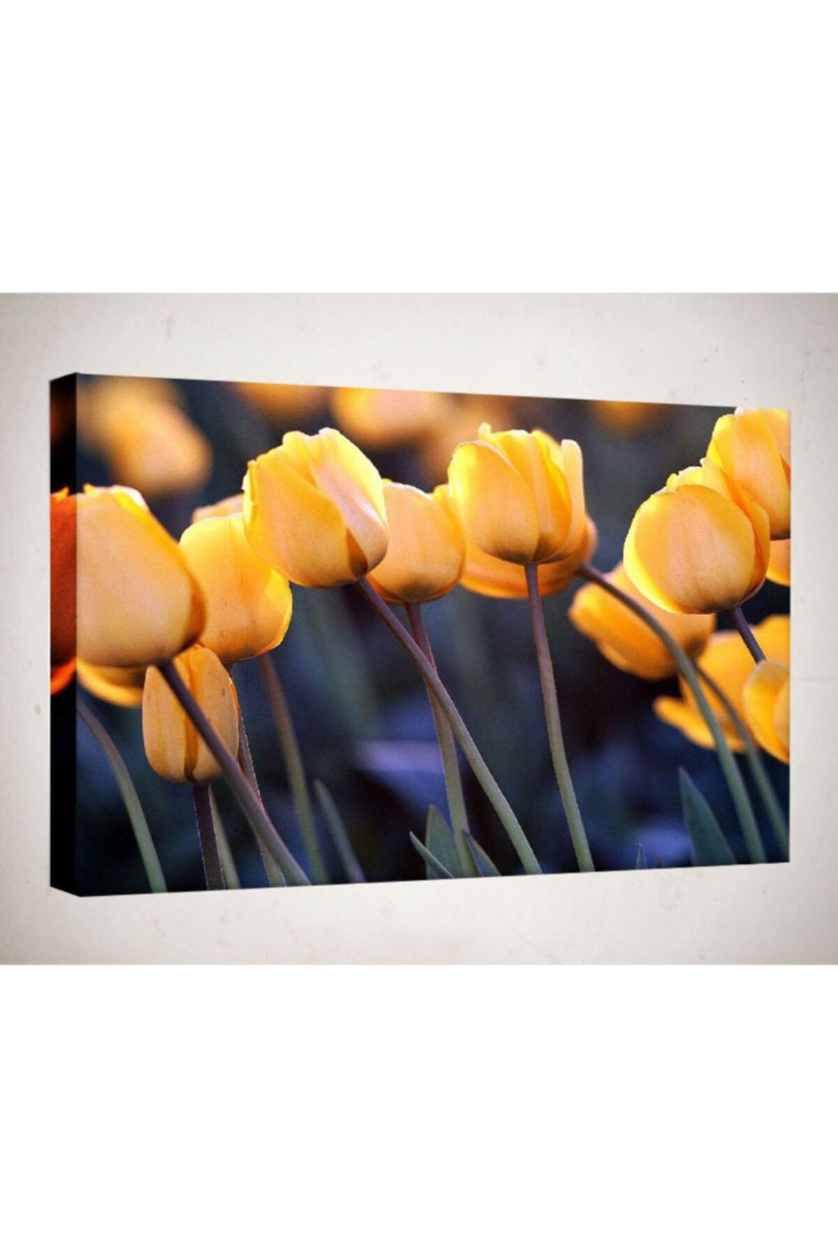 Lukas Kanvas Tablo - 50x70 Cm - Çiçek Resimleri - C283