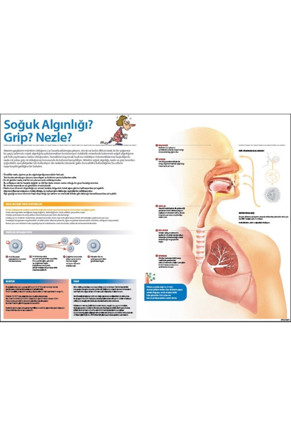 okulcenter Grip, Nezle Ve Soğuk Algınlığı Afişi (vinil) 70x100 Cm