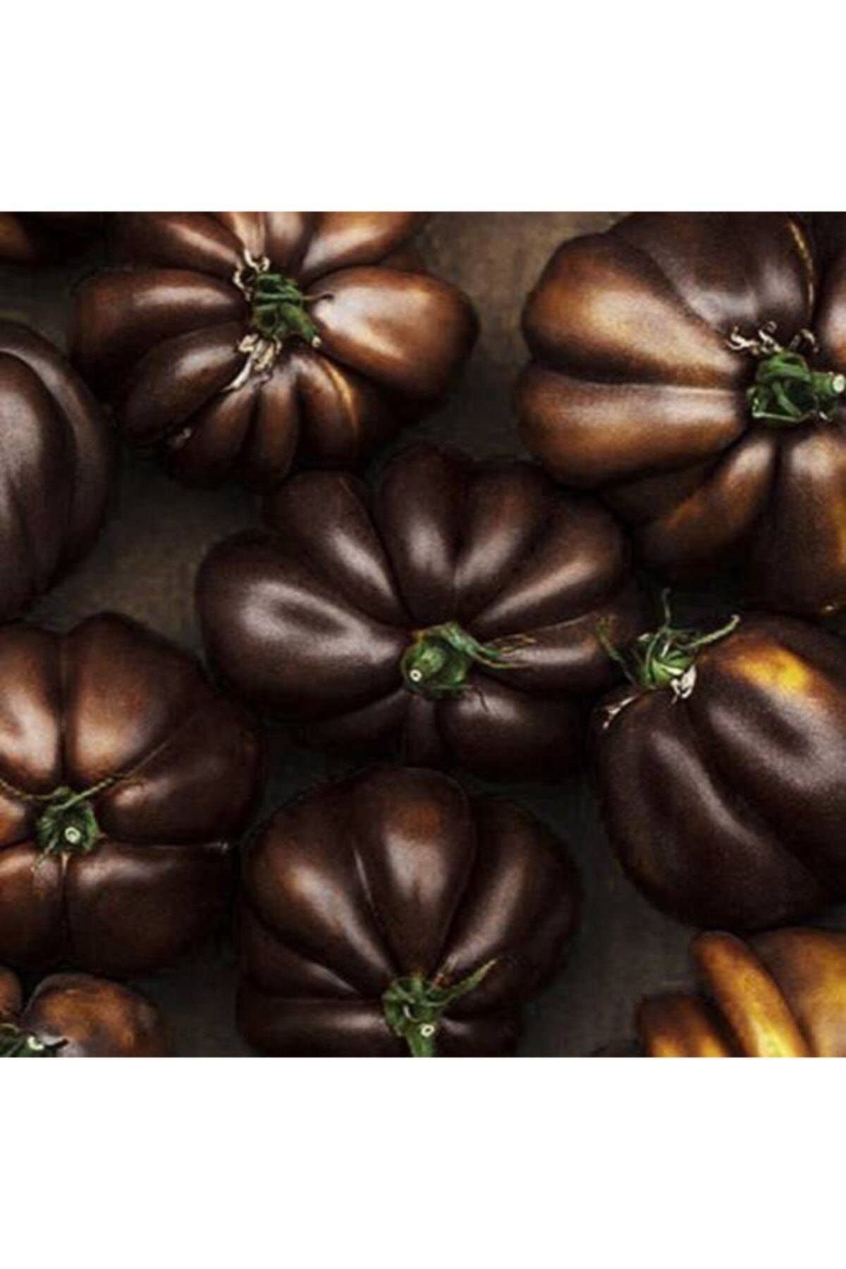 Tohum Dünyam Belçika Çikolata Domatesi Tohumu