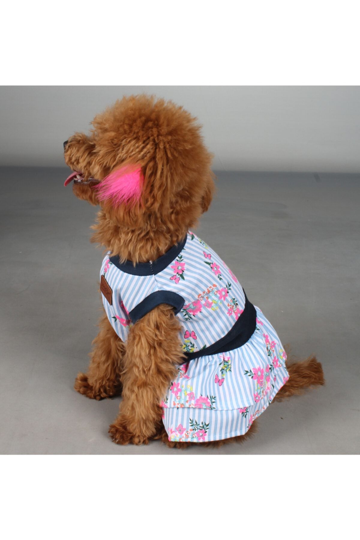 MAXSTYLESPET Maxdesign Çizgili Çiçek Desenli Penye Elbise Kedi Köpek Kıyafeti