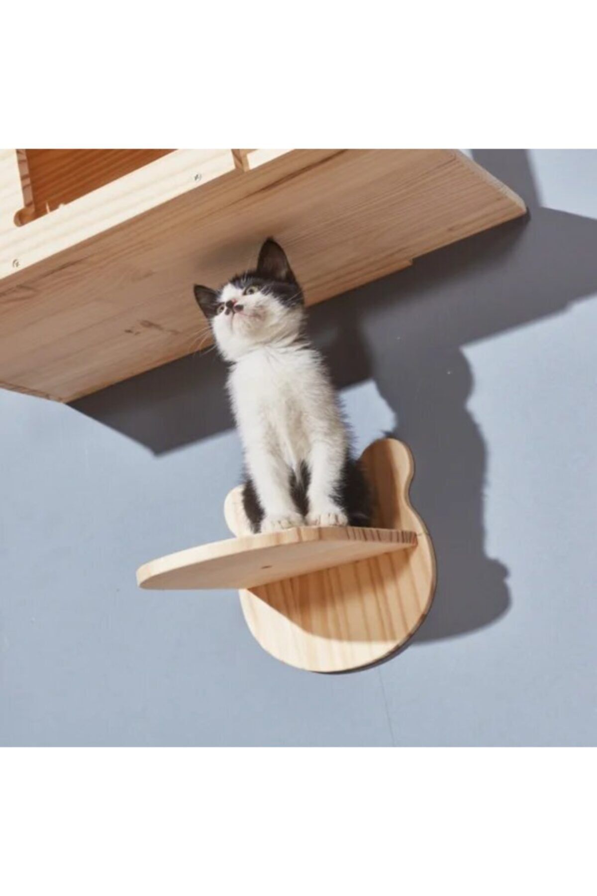 BUSHOP Kedi Balkonu - Kedi Atlama Platformu - Ahşap - Doğal Tasarım - Panda