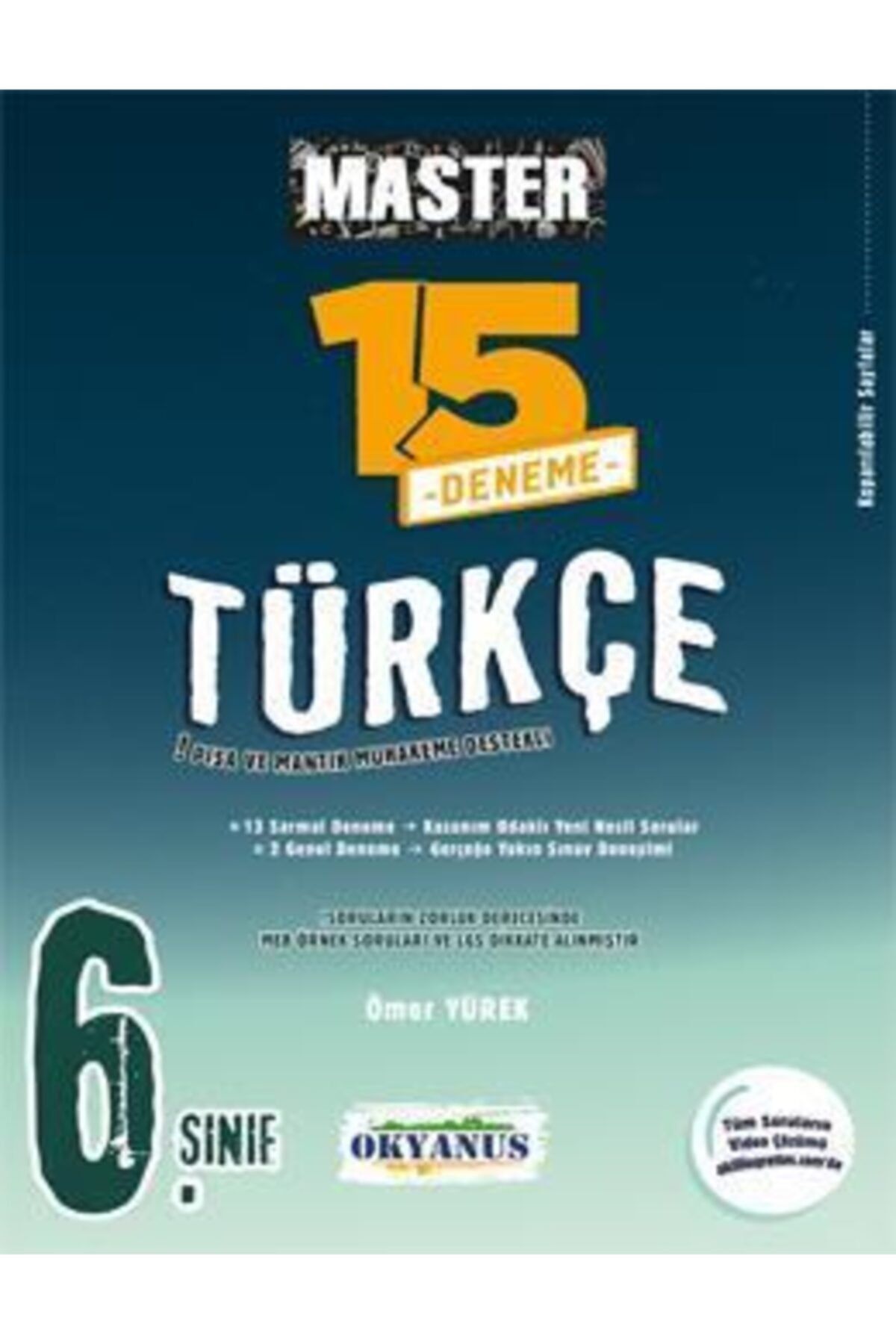 6. Sınıf Master 15 Türkçe Denemesi