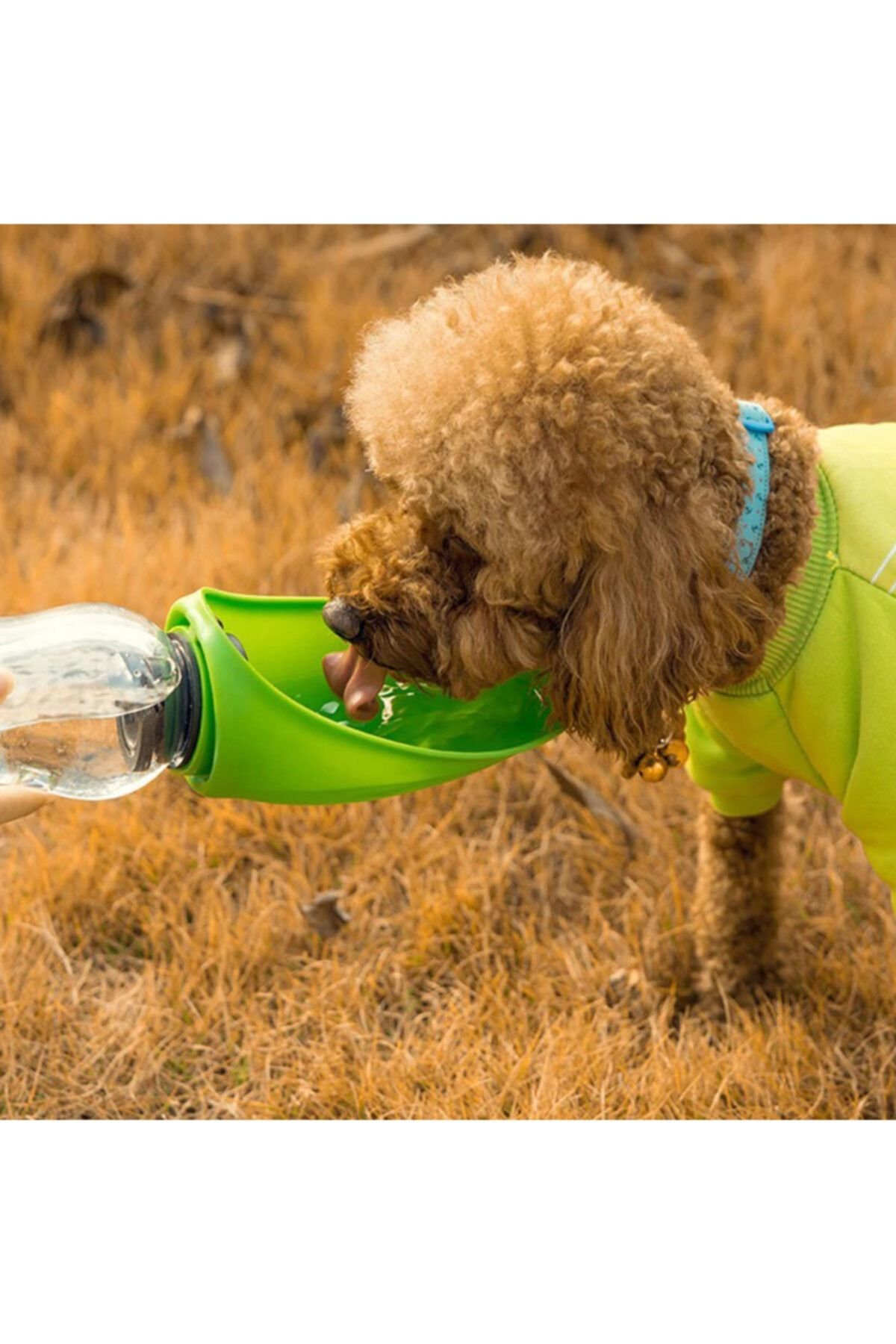 TamamElek Taşınabilir Kedi Köpek Su Şişesi Yumuşak Silikon Açık Pet Su Sebili 580ml Yeşil Renklı