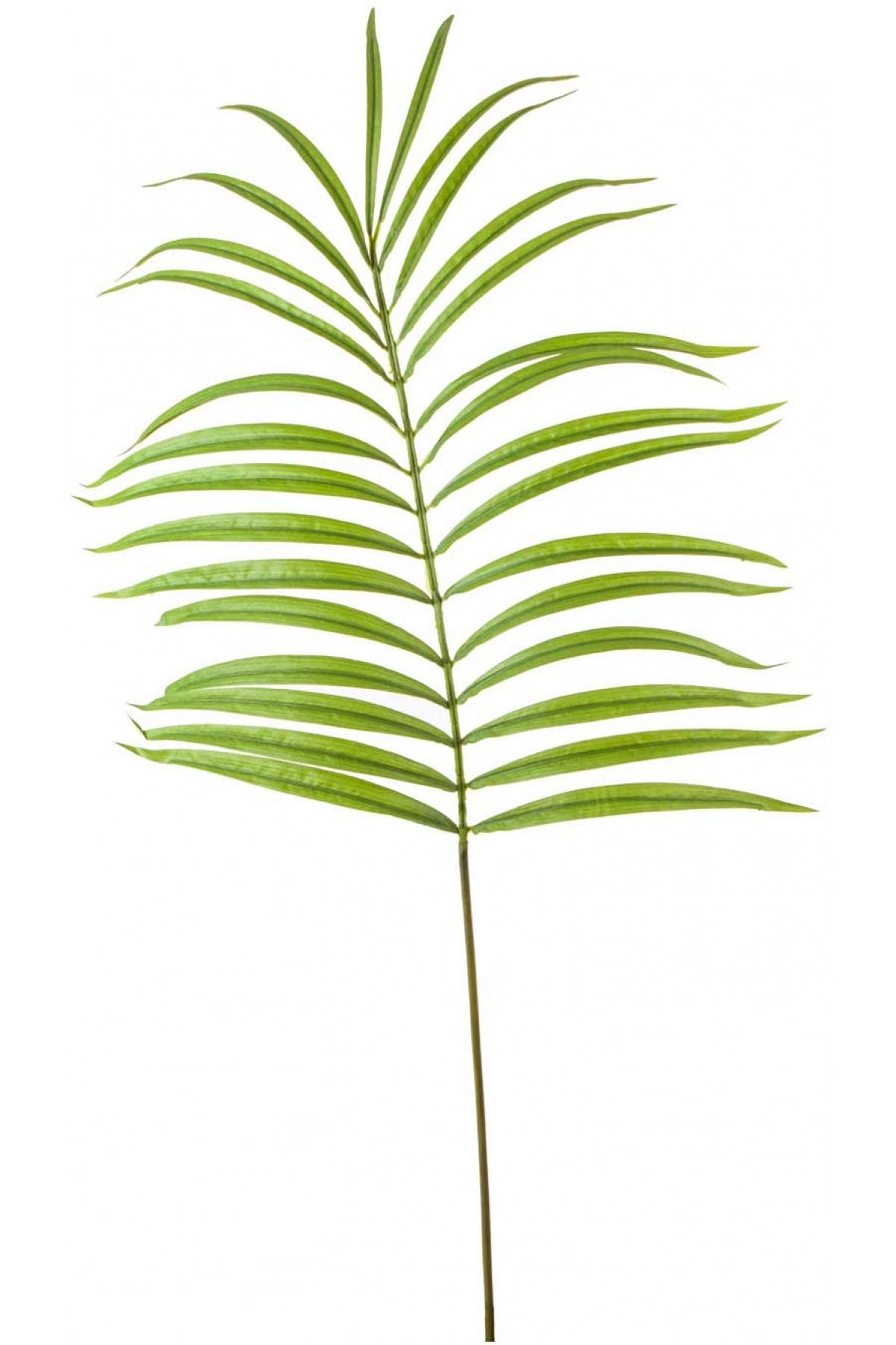 Euro Flora Dekoratif Palmiye Dalı 130 cm