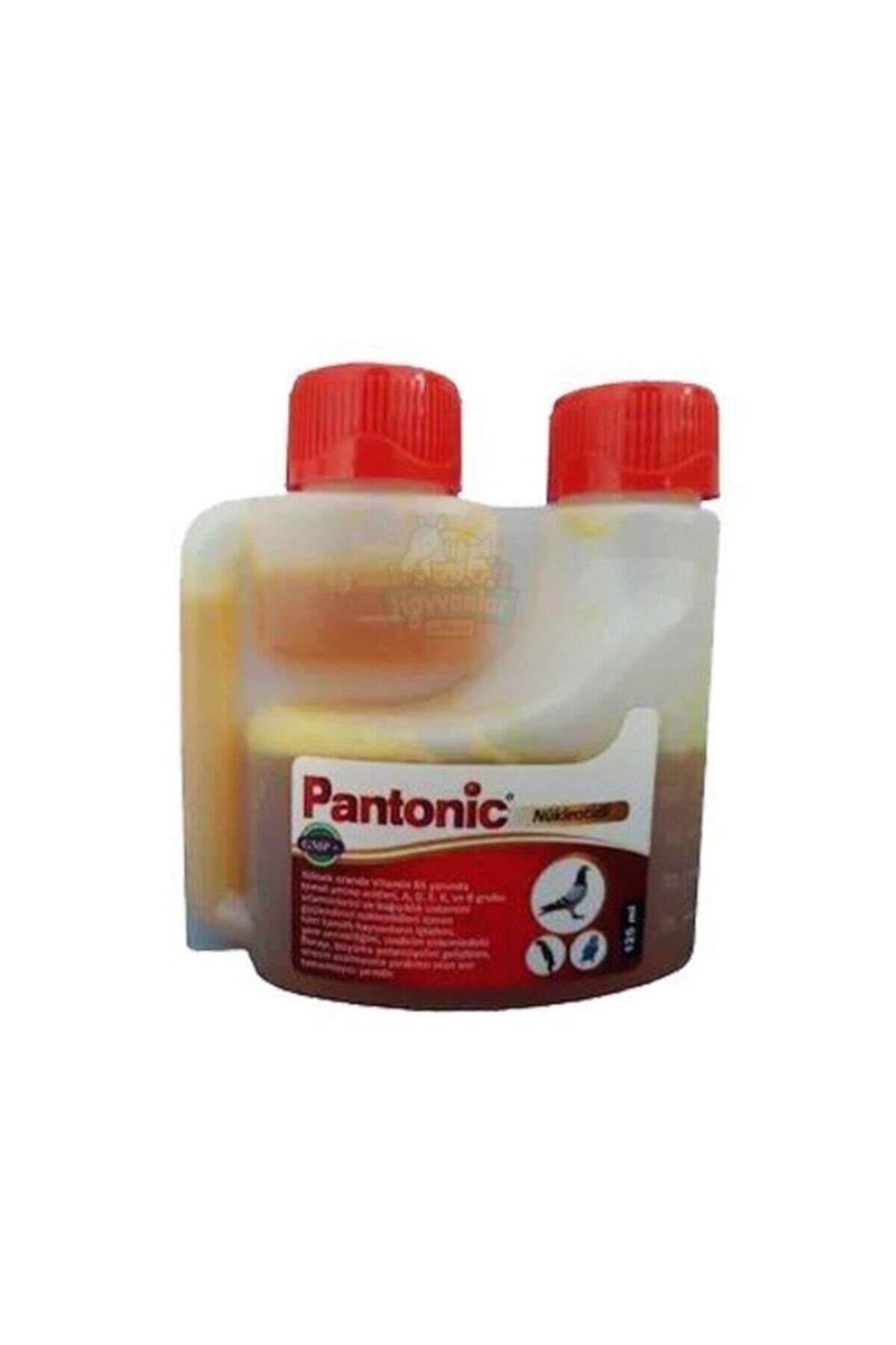 Royal Pantonic 125 ml Kanatlılar Için Multivitamin