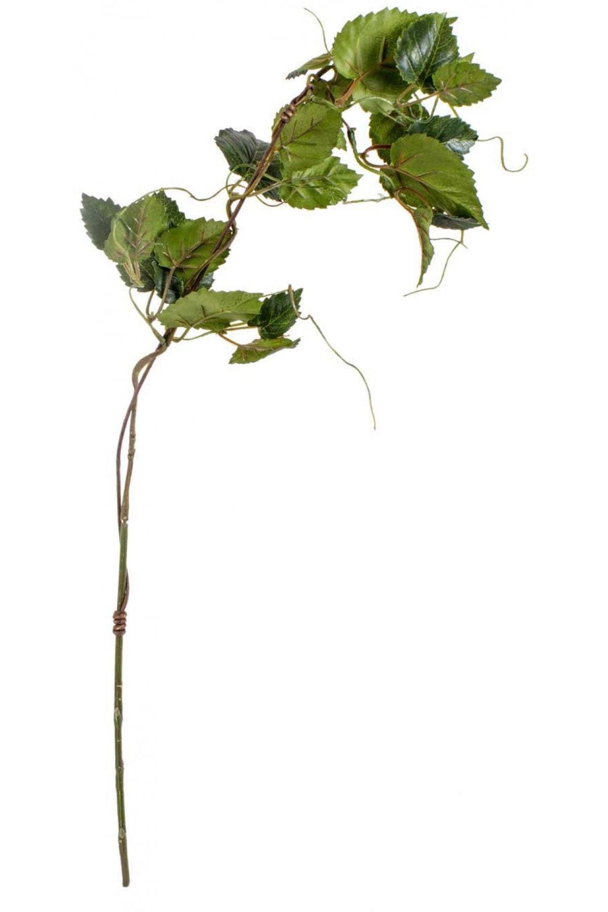 Euro Flora Yapay Bitki Hop Leaf Dal 89 Cm