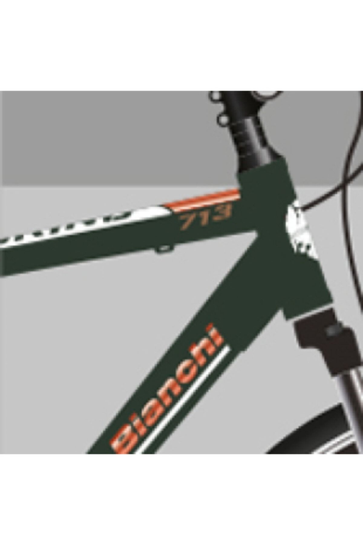 Bianchi Tourıng 713 Erkek Şehir Bisikleti 510h Hd 28 Jant 24 Vites Metalik Koyu Yeşil Beyaz Bakır