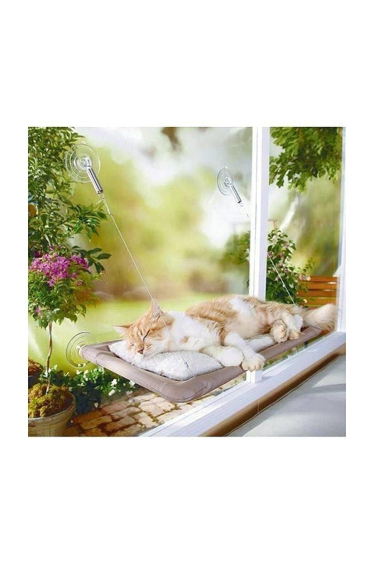 Kitch&Home Sunny Seat Cama Yapışan Vantuzlu Kedi Yatağı, Kedi Oyuncağı