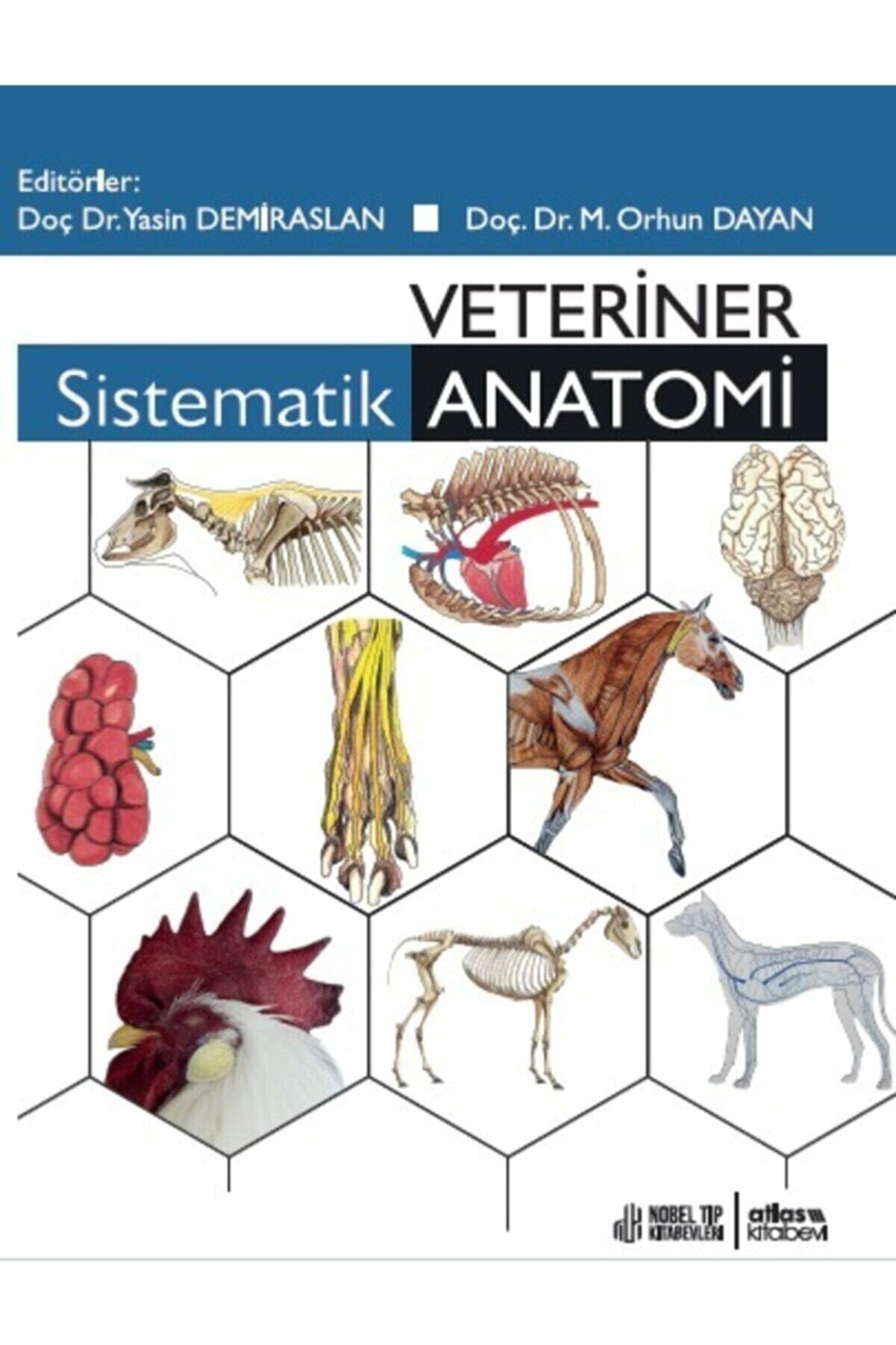 Nobel Tıp Kitabevleri Veteriner Sistematik Anatomi
