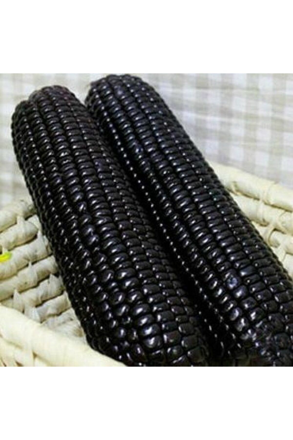Купить Семена Черной Кукурузы