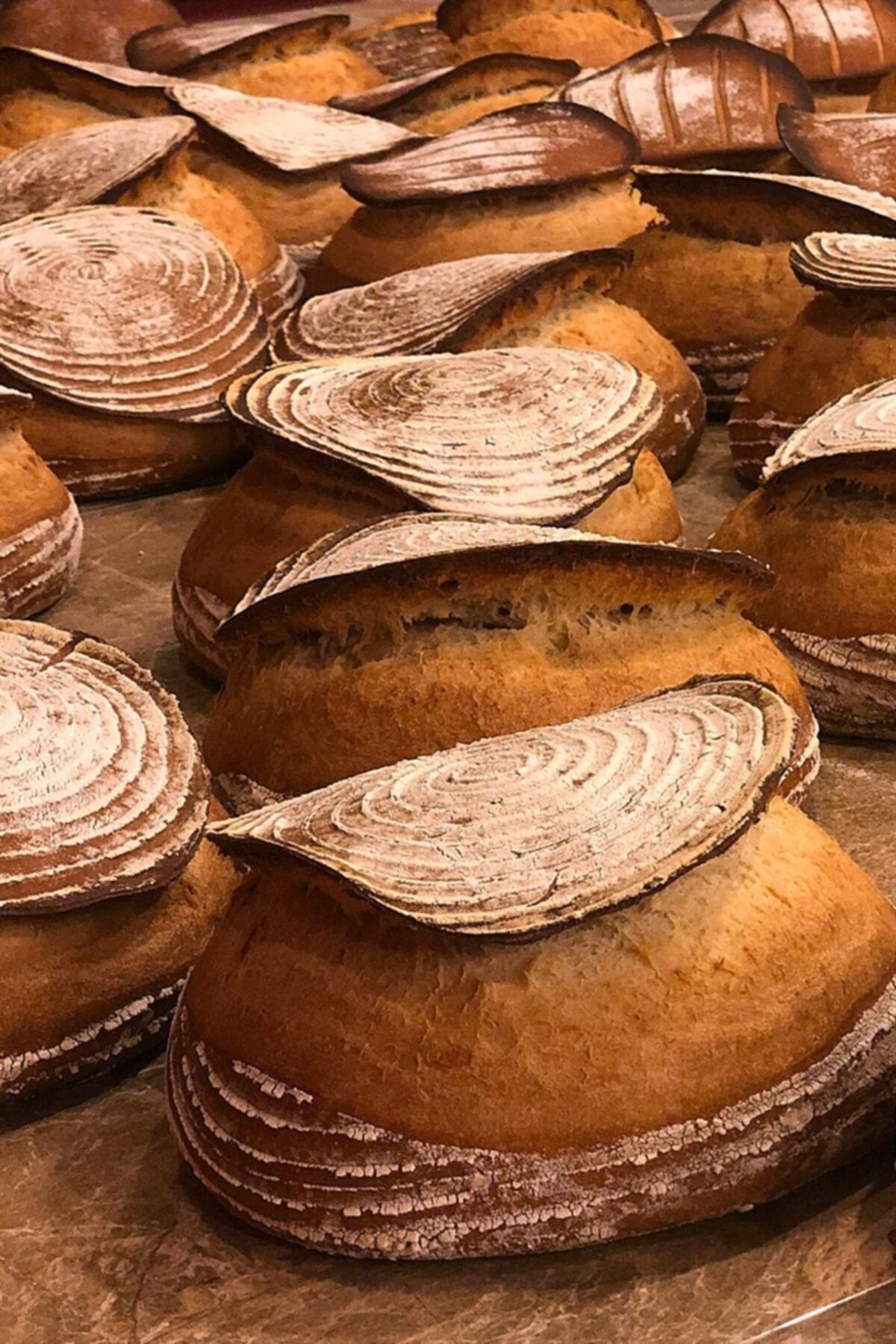 Ova un Doğal Ekşi Mayalı Okka Bakery Tam Buğday Ekmeği 800 gr