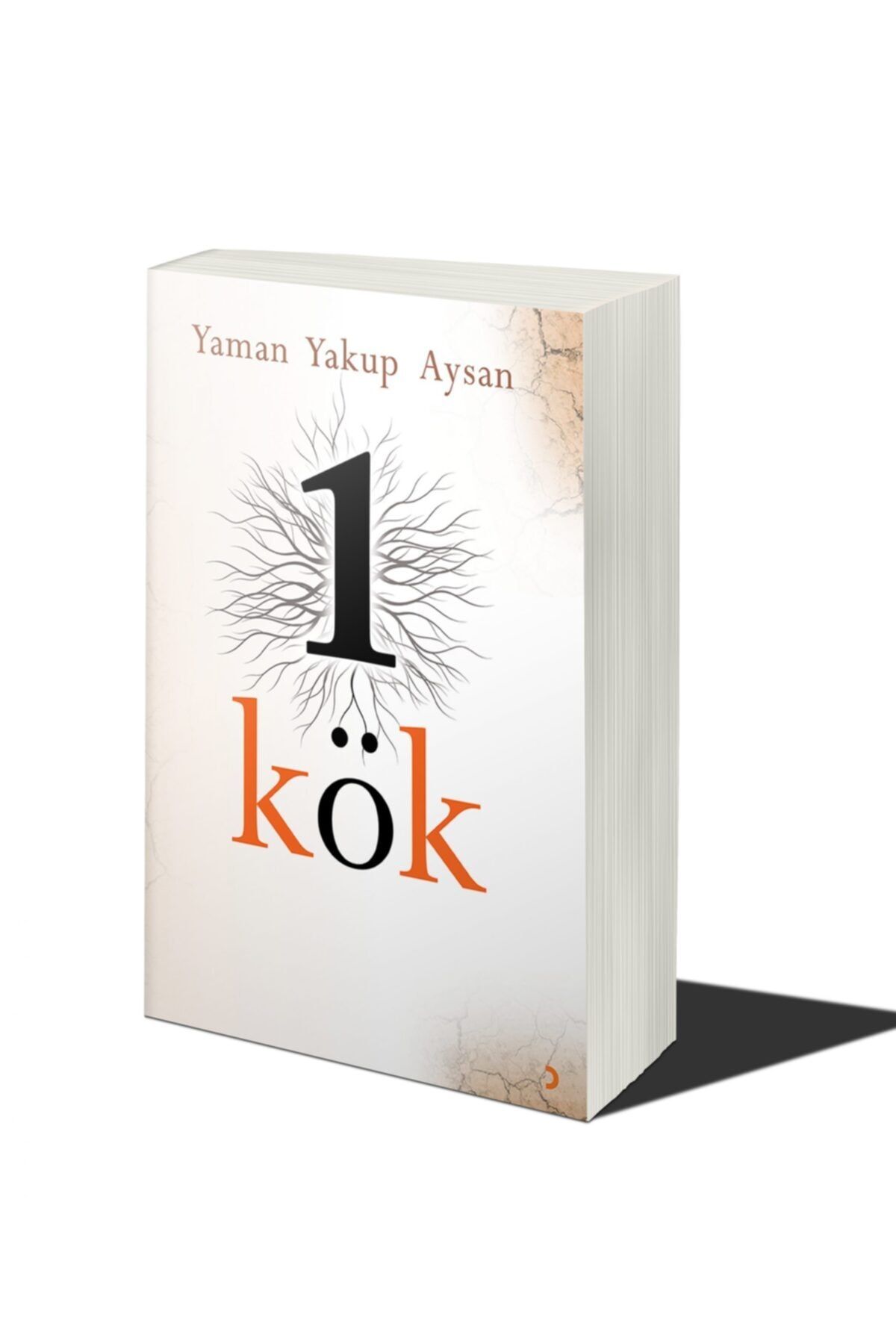 Cinius Yayınları 1 Kök & Yaman Yakup Aysan