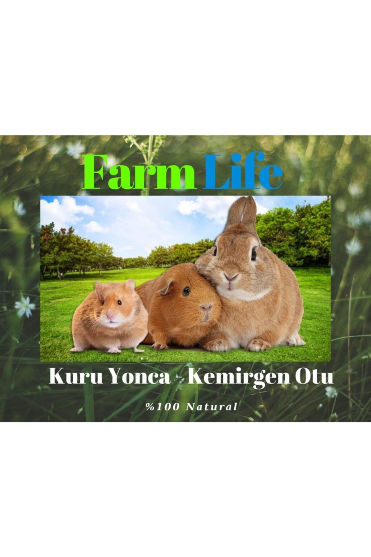 FarmLife Tohum 3 Kg Kuru Yonca - Kemirgen Otu Tek Paket ( Tavşan - Hamster - Guinea Pig )