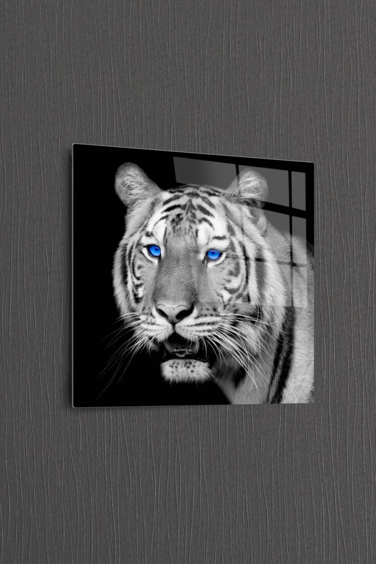 Bourneo Dekoratif Kare Cam Tablo Bengal Tiger