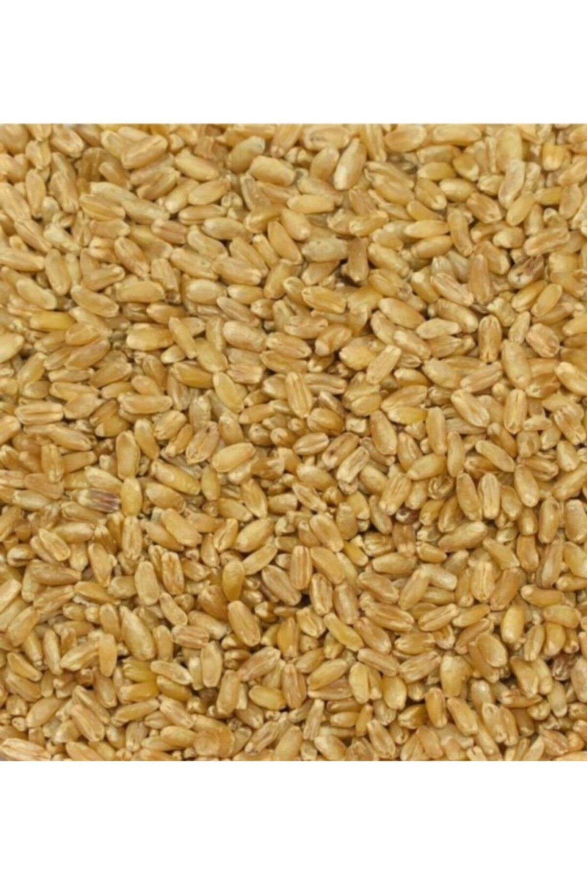 İpek Hediklik Buğday 1 Kğ Hediklik Buğday