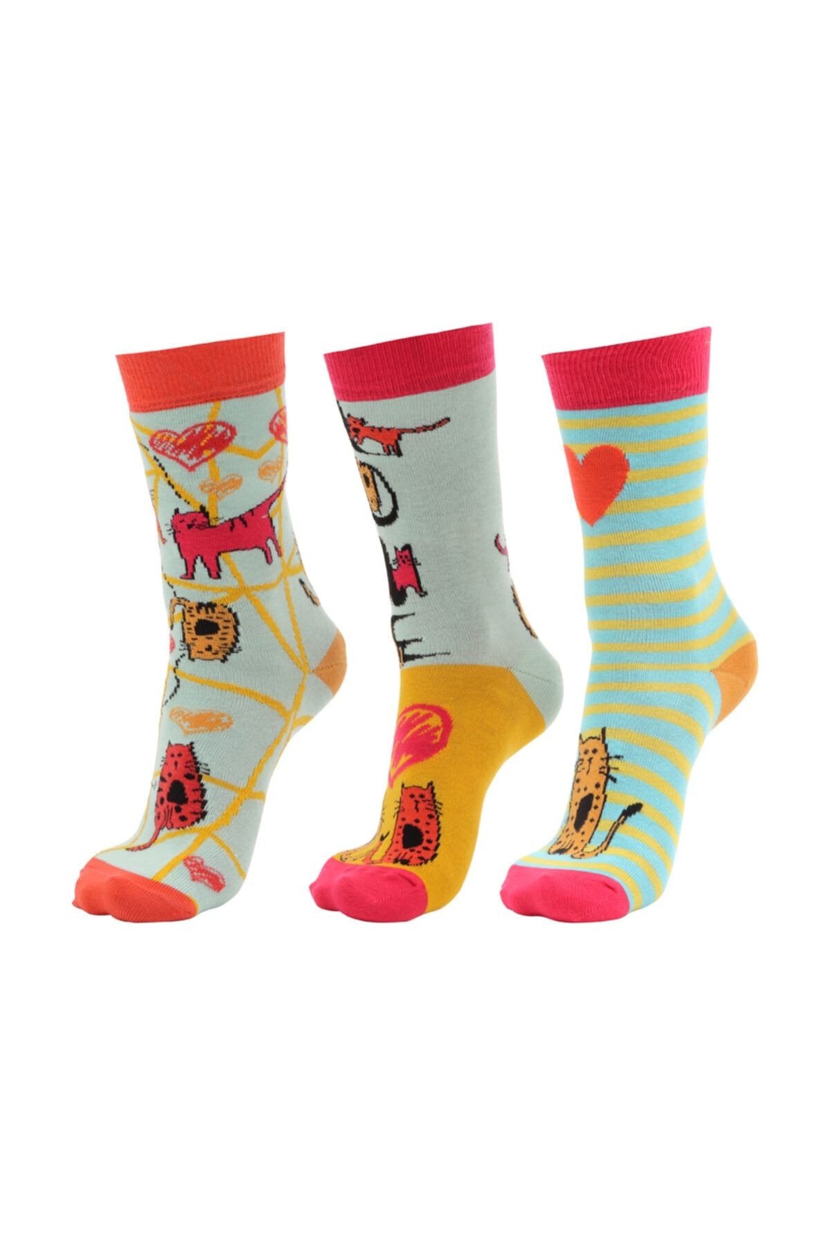 Biggdesign Kadın Renkli Cats Soket Çorap Seti