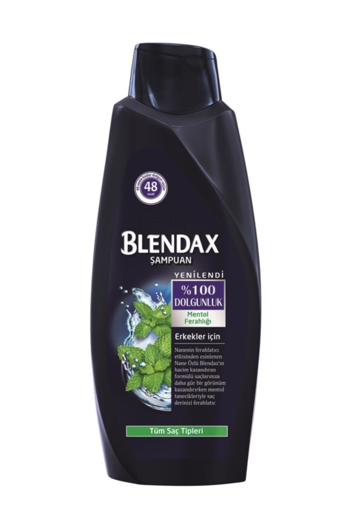 Blendax Erkekler İçin Mentollü Şampuan 500 ml