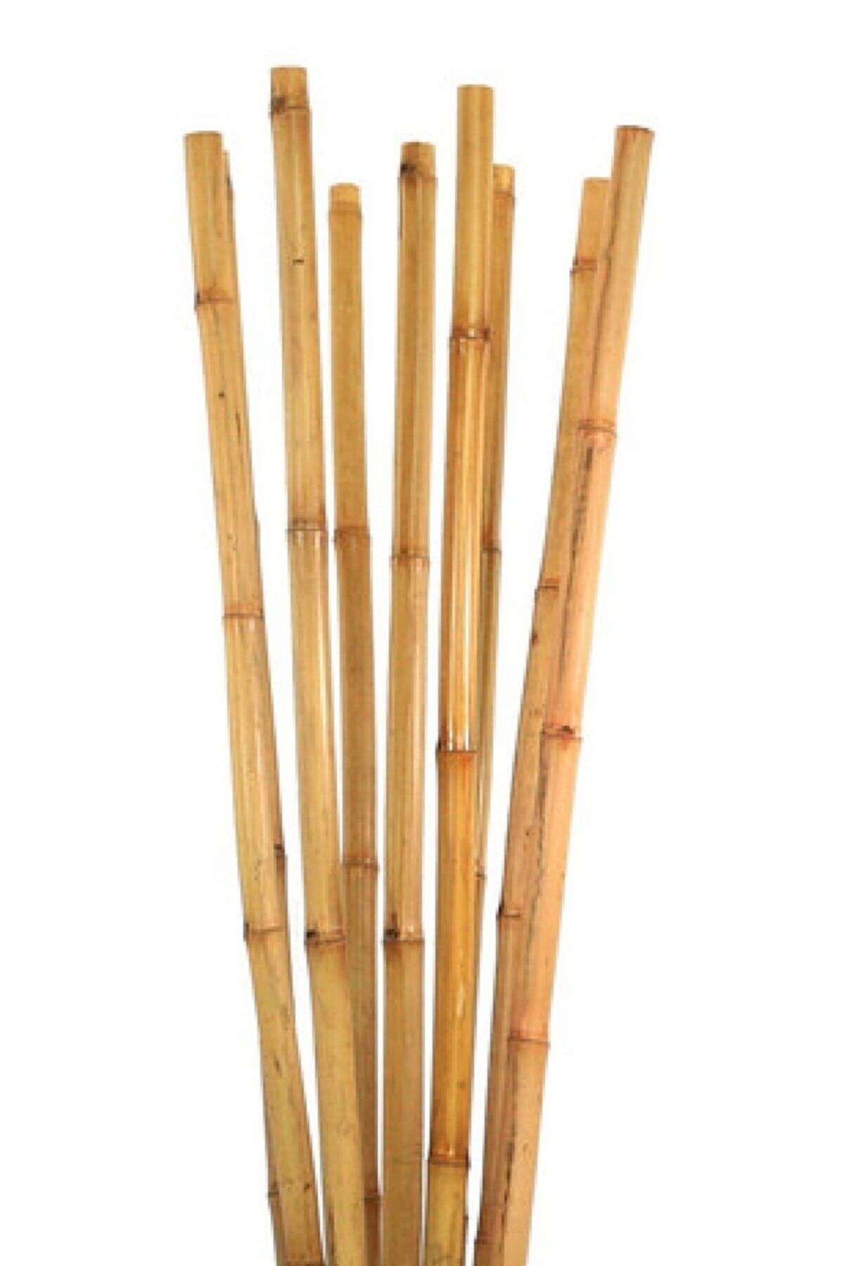 Ersa Hediyelik Bambu Bitki Destek Çubuğu 150 Cm 6&#39;lı