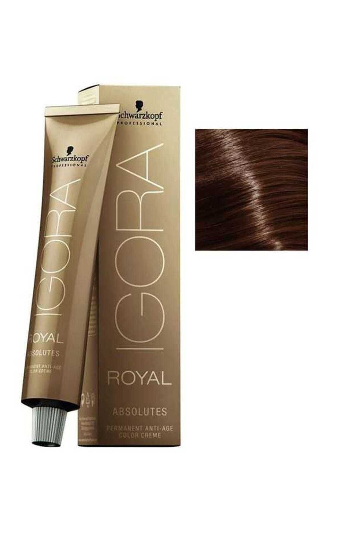 Igora Saç Boyası -Royal Absolutes 6-60 Koyu Kumral Çikolata Doğal 4045787163254