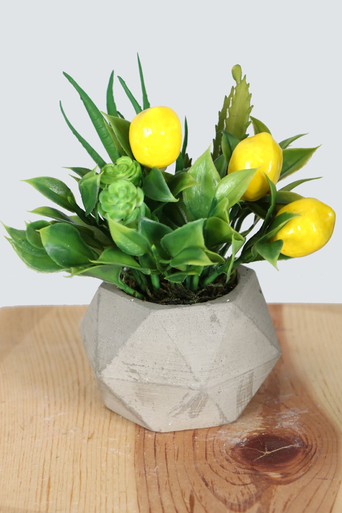 Yapay Çiçek Deposu Geometrik Mini Beton Saksıda Limonlu Sukulent Kaktüs