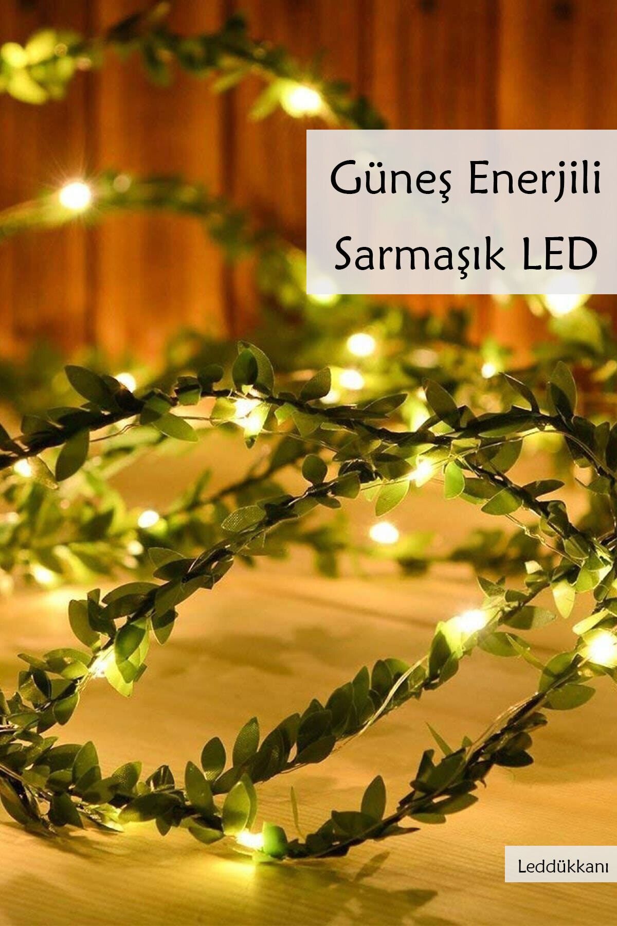 Lucente Leddükkanı 50 Led 7 Metre Sarmaşık Peri Led Işık Güneş Enerjili Solar Bahçe Balkon Ağaç Lambası Aydınlatması