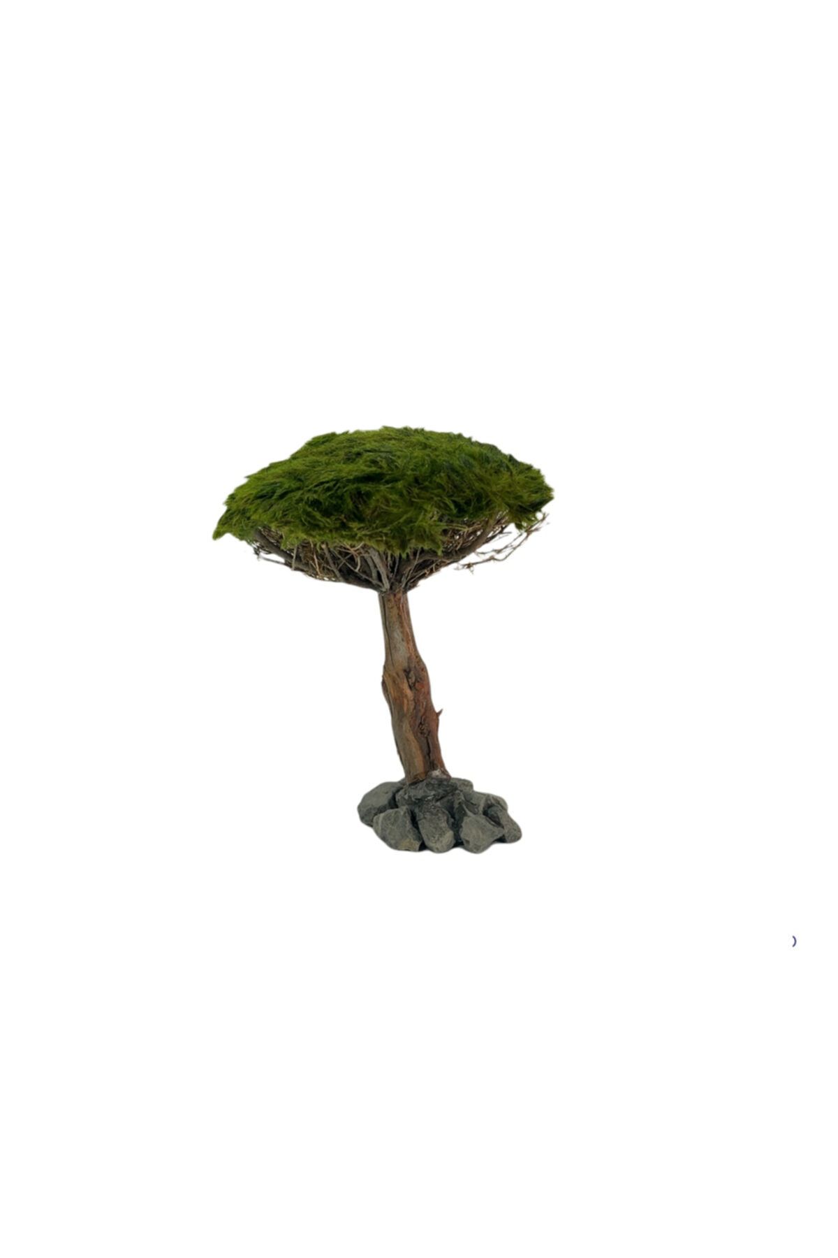 Marimo Scape Ağaç Figürü Moss Sarılı 'm'