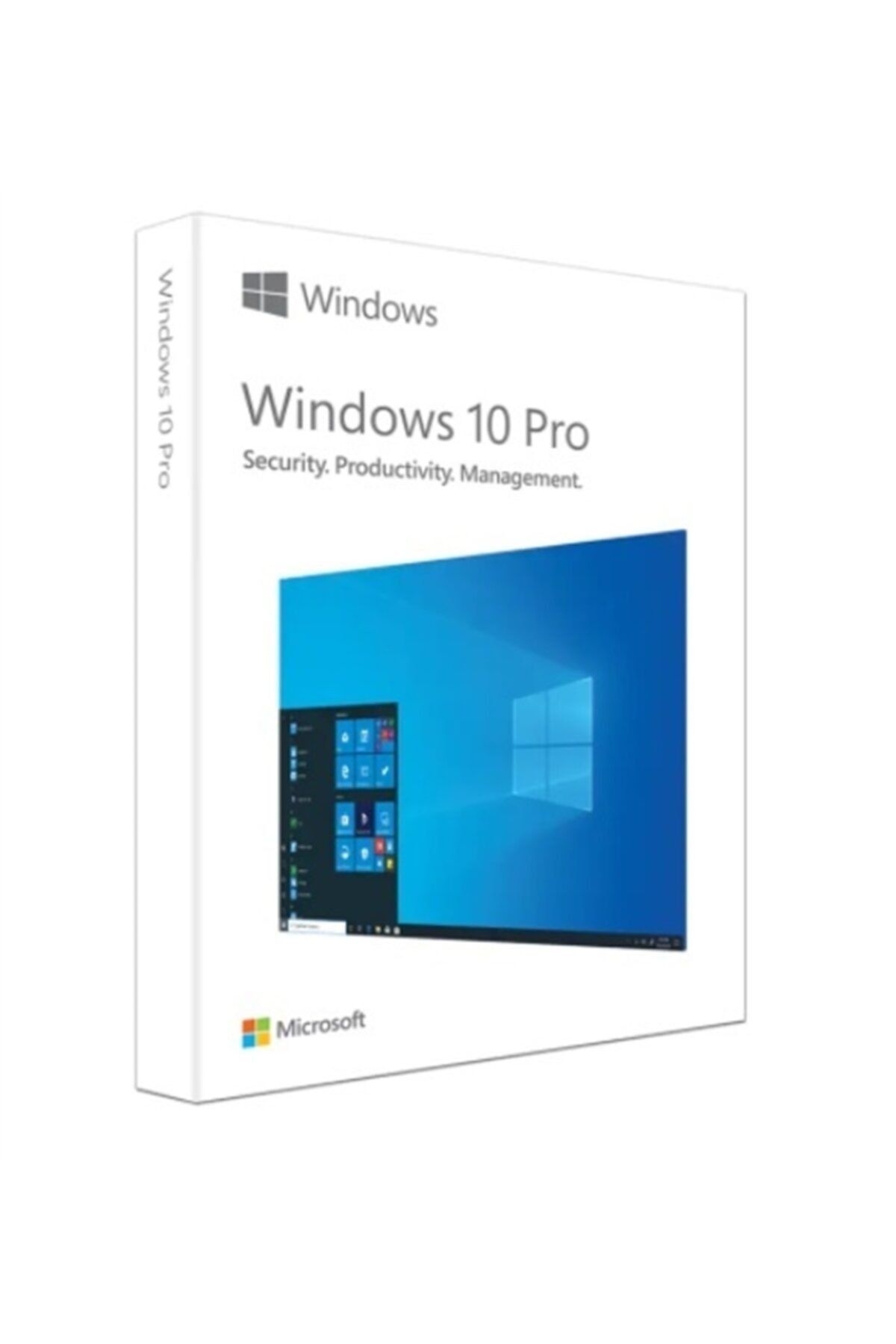 Microsoft Windows 10 Pro 32/64bit Türkçe Usb Kutu Hav-00132