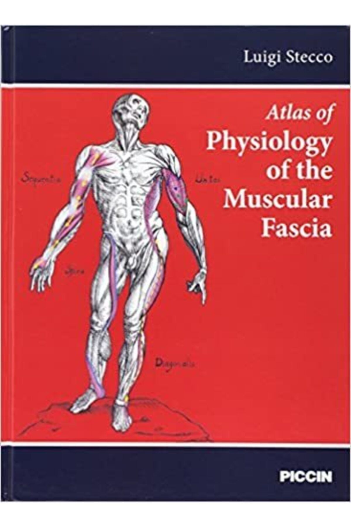 Ema Tıp Kitabevi Atlas Of Physiology Of The Muscular Fascia (Inglés) Tapa Dura – 1 Enero 2016