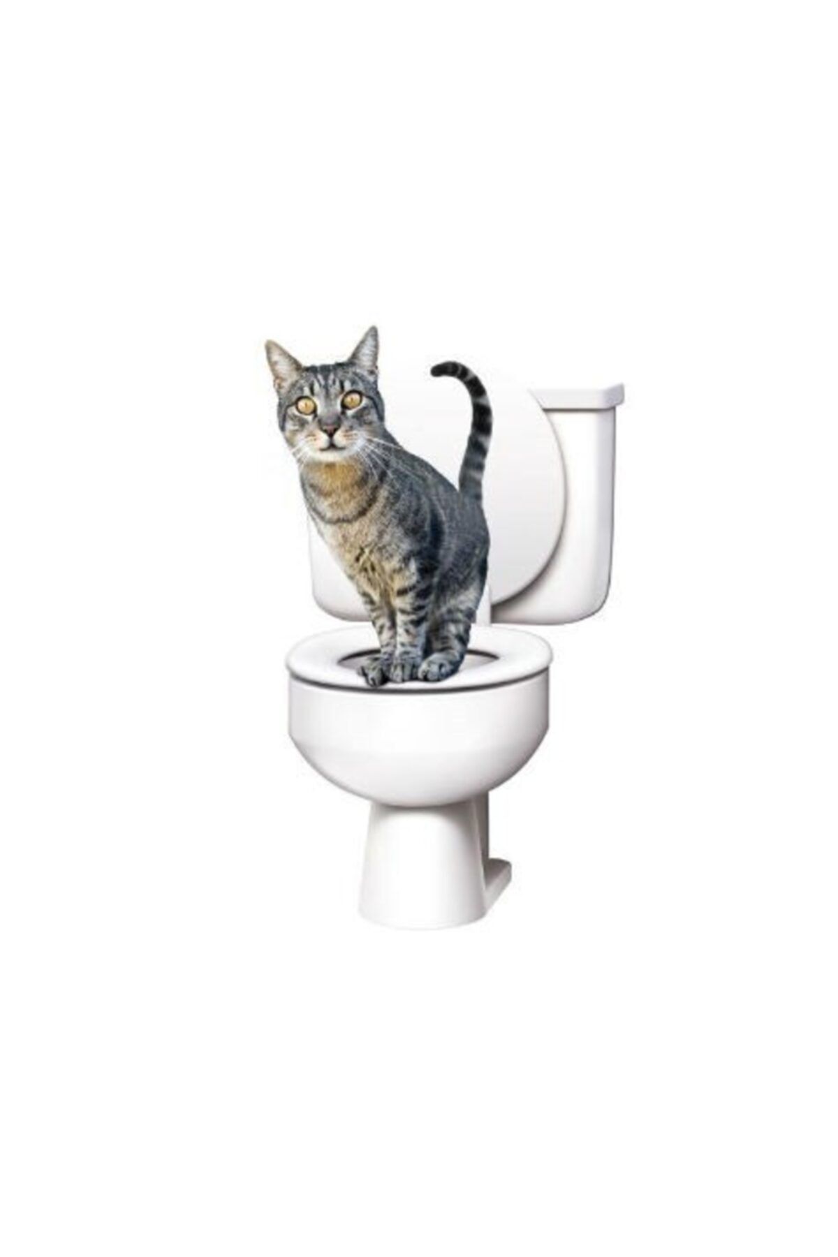Arsimo Kedi Kumu Kabı Klozet Aparatı Citi Kitty Tuvaleti Eğitim Seti