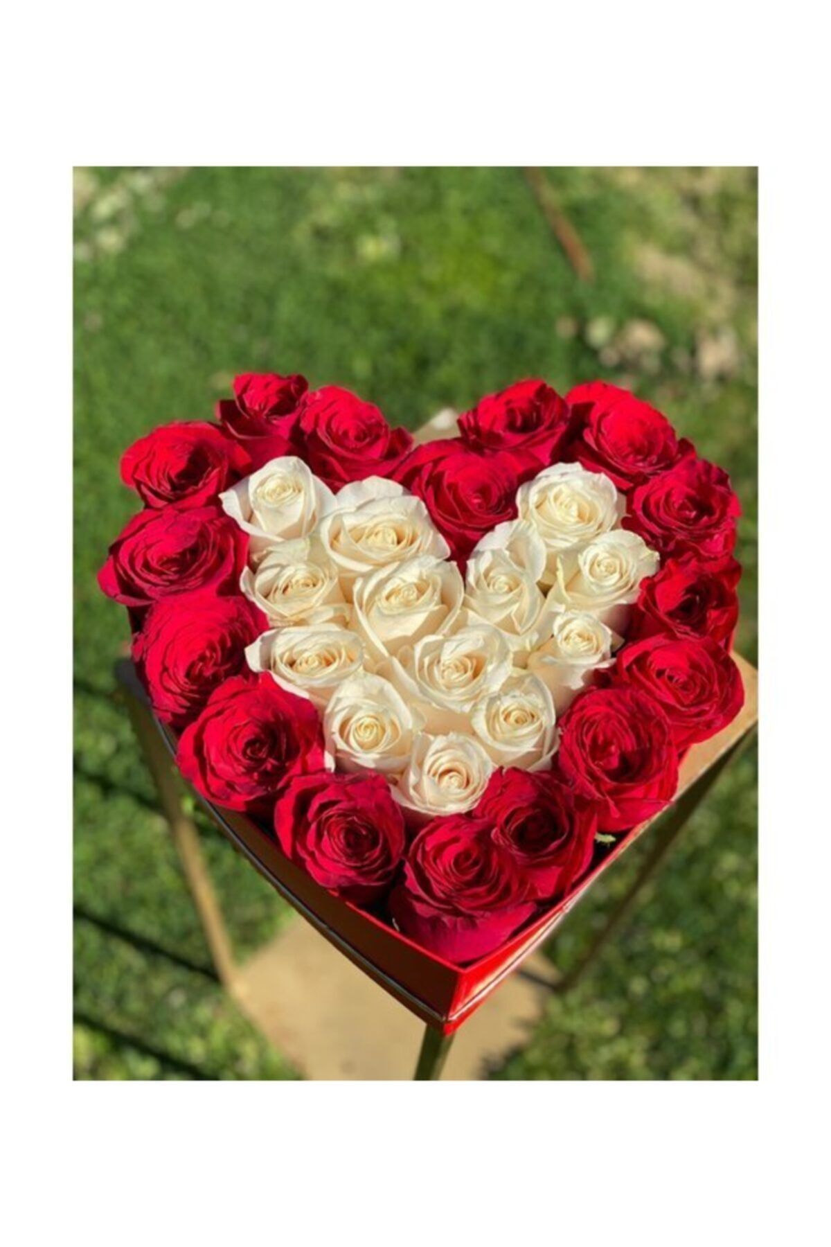 Evsay Kalpli Kutuda Gerçek Görünümlü Yapay Kadife Kırmızı Beyaz Güller