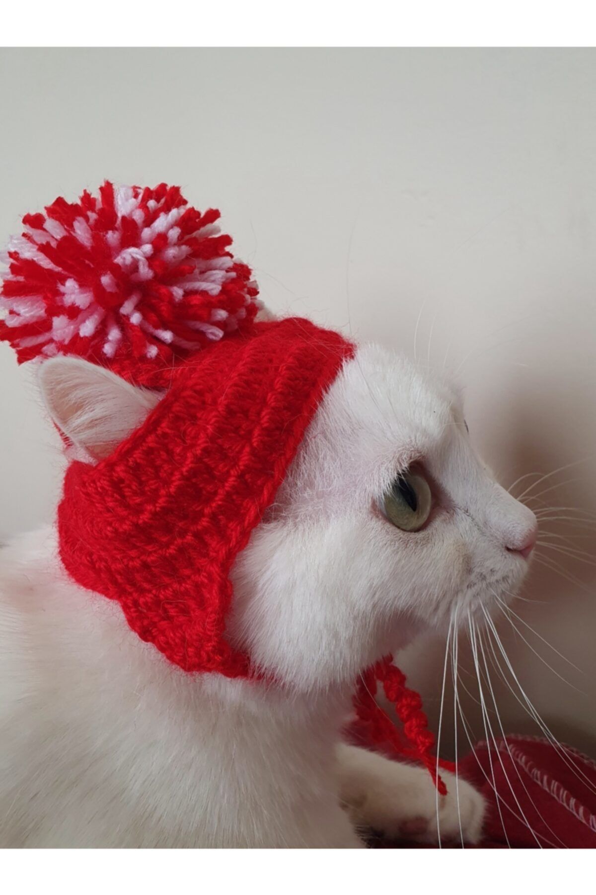 Loyal Friend Store Ponponlu Kırmızı El Örgüsü Kedi Beresi