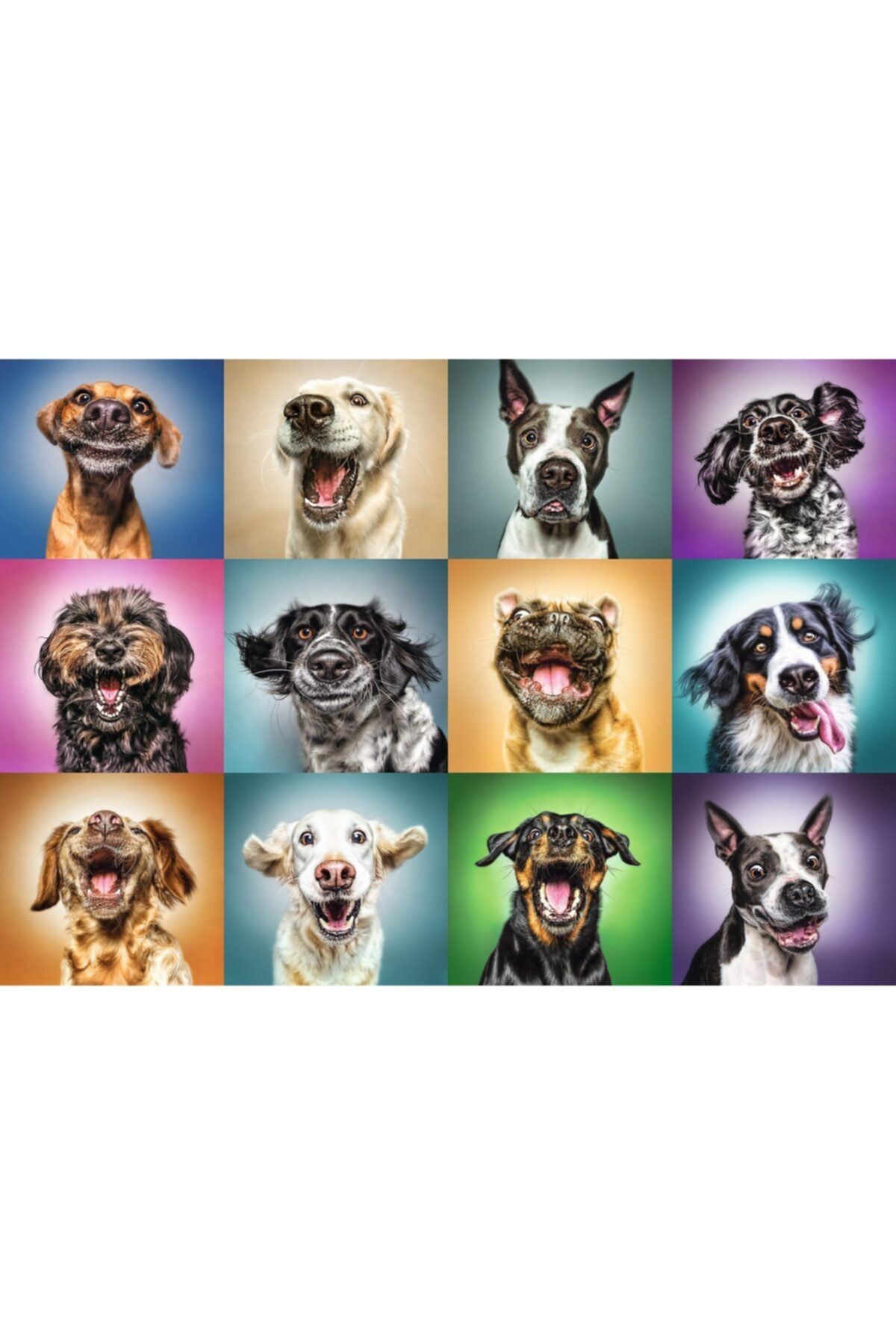 Trefl Puzzle Funny Dog Portraits 1000 Parça Puzzle