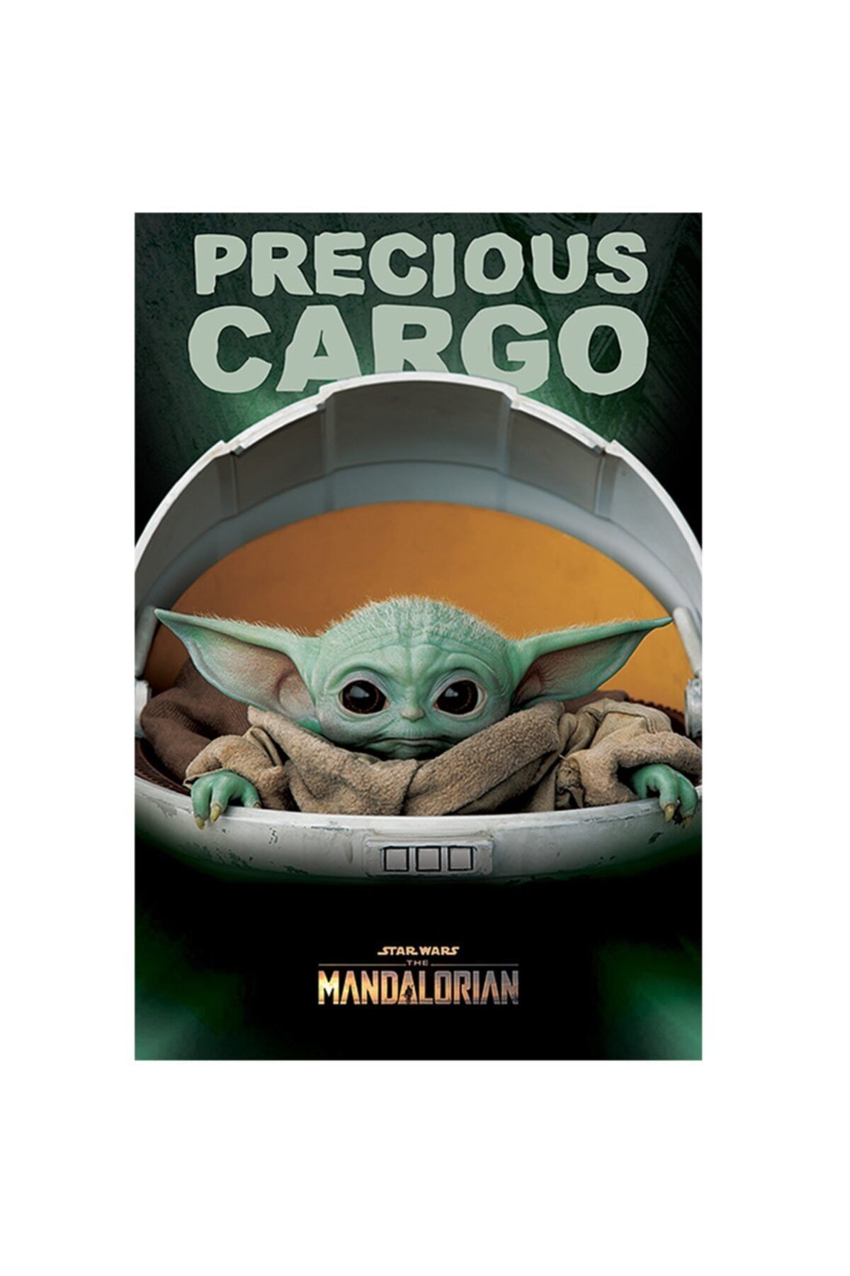 Pyramid International Maxi Poster Star Wars: The Mandalorian (precious Cargo)