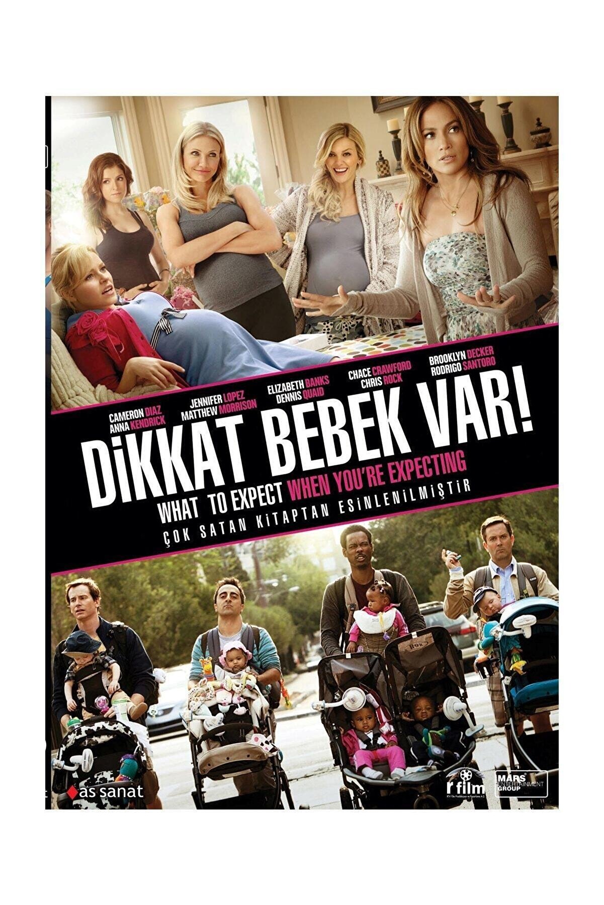 Pal Dvd-dikkat Bebek Var - What To Expect When You're Expecting