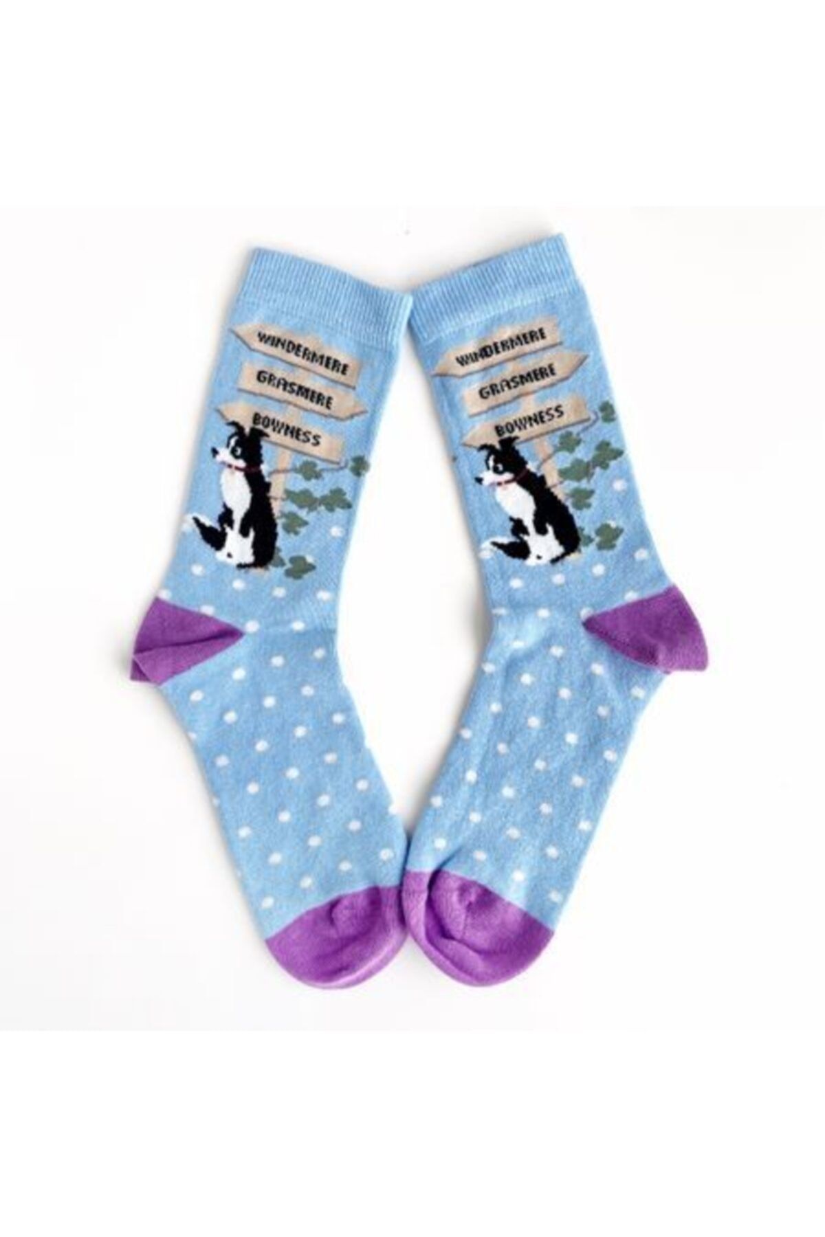Bikutumutluluk Hediyelik - N437 - Mavi Puantiyeli Köpek Çorap