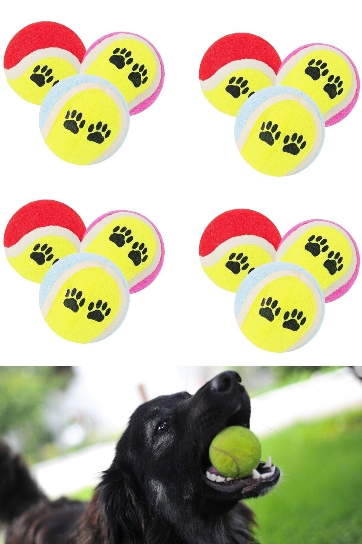 Buffer ® 12 Adet Renkli Desenli Tenis Topu Kedi Köpek Oyuncağı