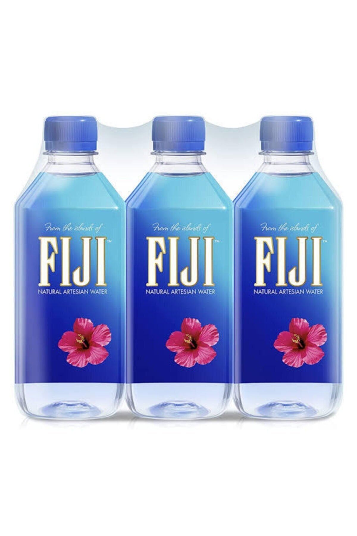 Fiji Water-su (6X500ML)