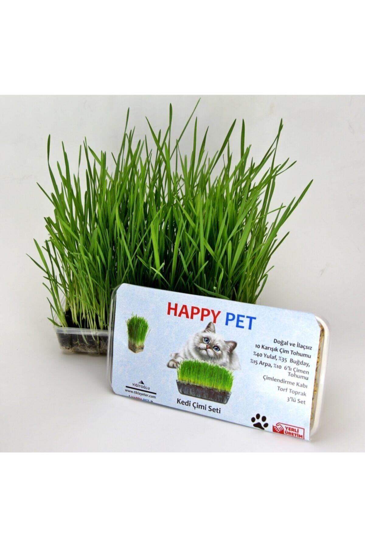Happy Pet Kedi Çimi Kedi Otu Seti 100gr 6 Çeşit Tahıl Karışımı Ek Vitamin Mineral Tüy Yumağı Engeller