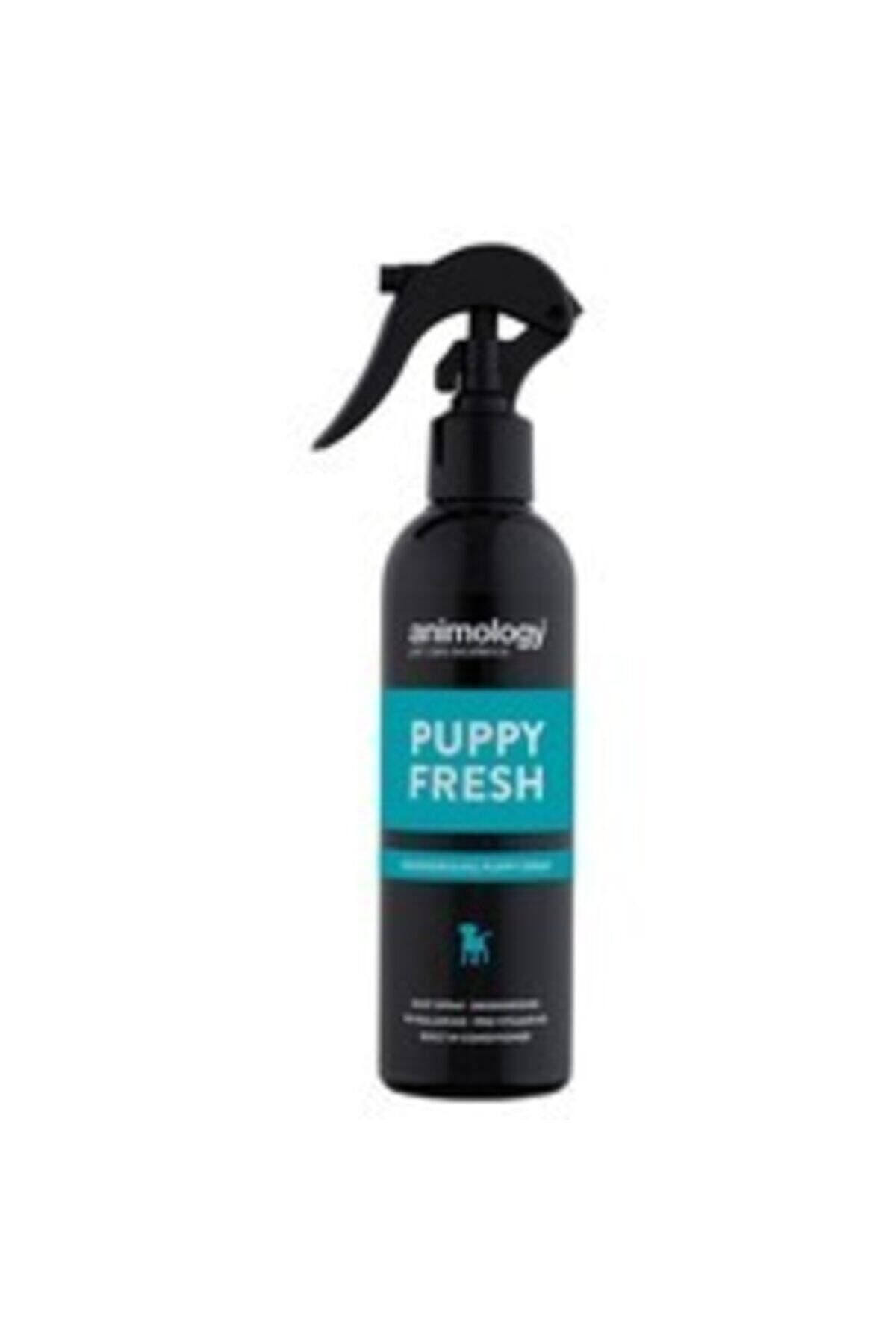 Animology Yavru Köpekler Için Kuru Sprey Şampuan Puppy Fresh 250 Ml