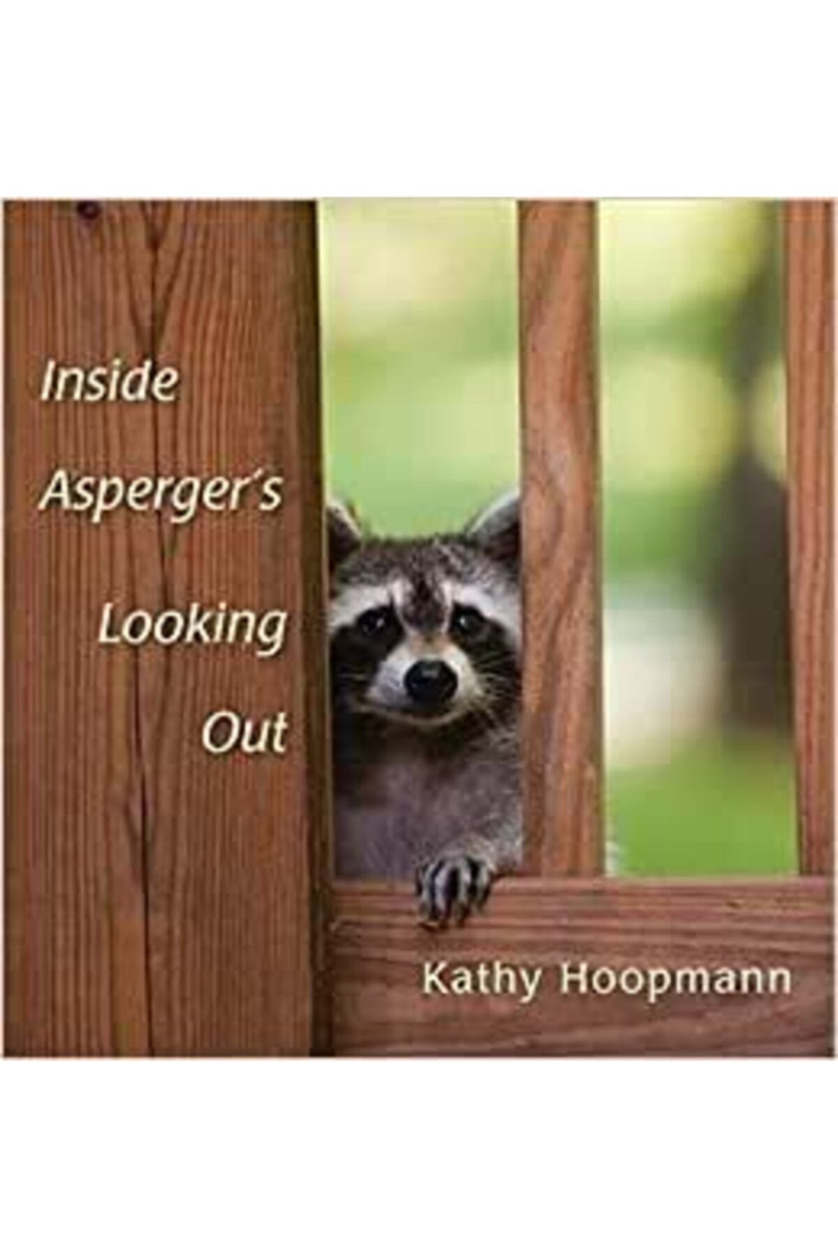 Fecr Yayınevi Inside Asperger's Looking Out