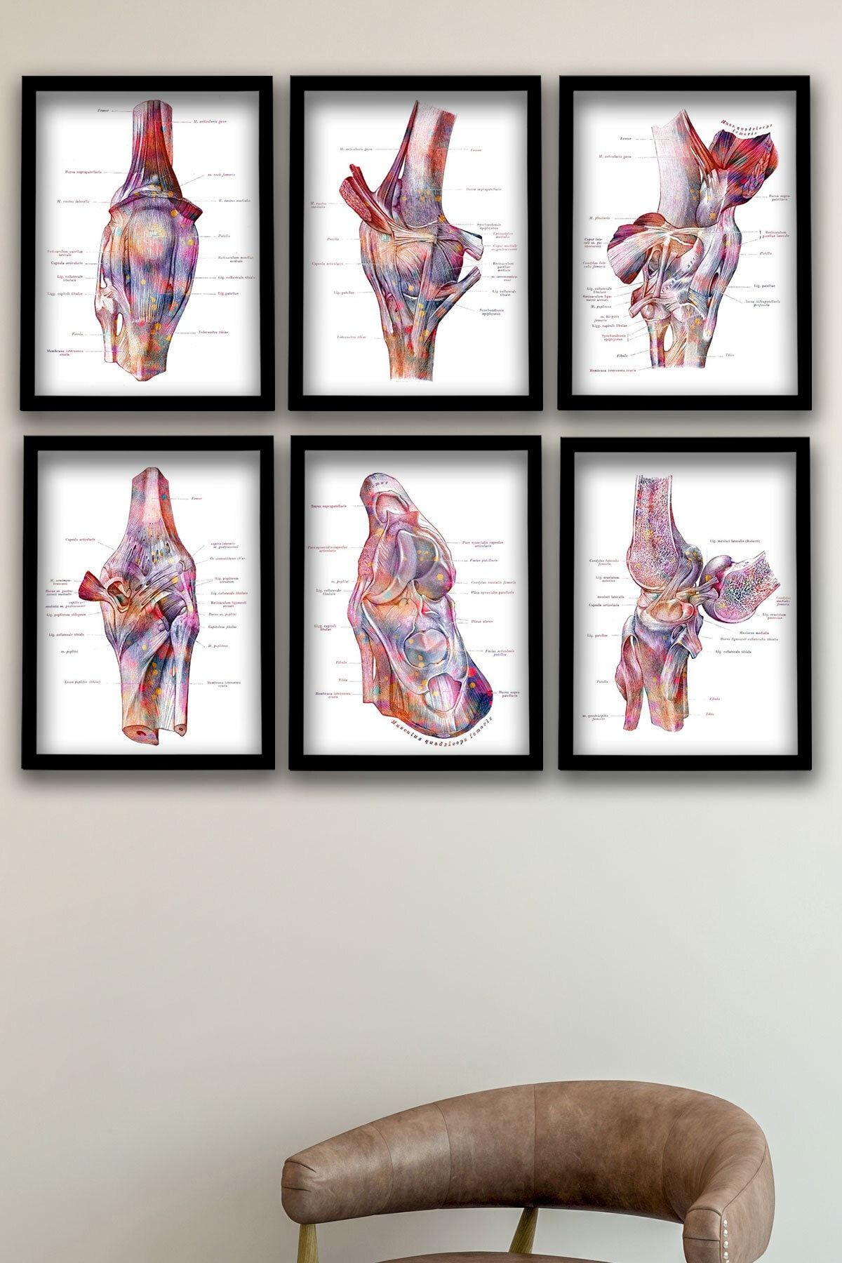 Dekor Loft Anatomik Tablo, Doktor Hediyesi, Ayak Tendonları Ve Ligamentleri Yapısı Doktor Odası 6 Lı Tablo
