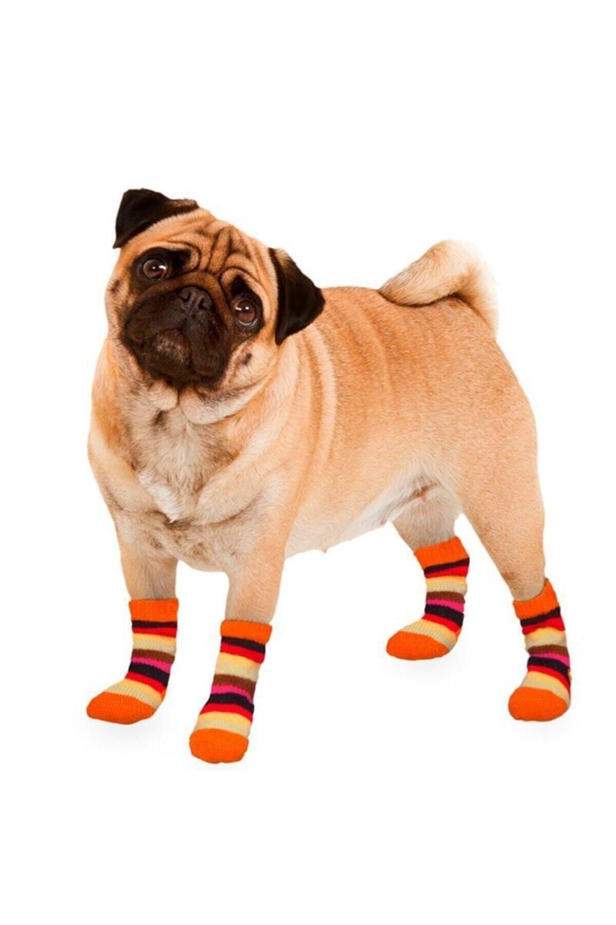 Karlie Köpek Çorabı 2li Small Turuncu- Beyaz