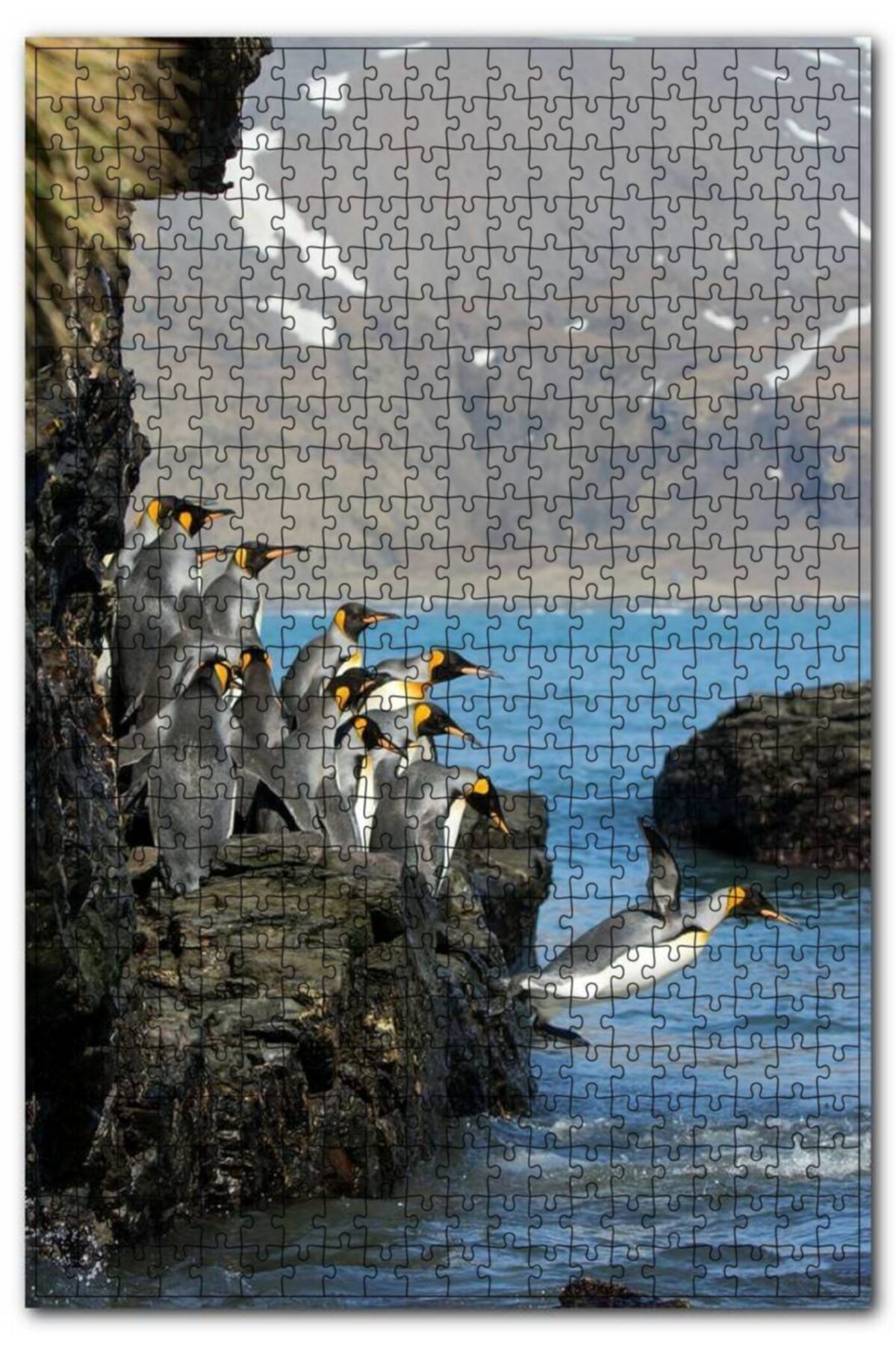Cakapuzzle Kayalıktan Suya Atlayan Penguenler 500 Parça Puzzle Yapboz Mdf (ahşap)
