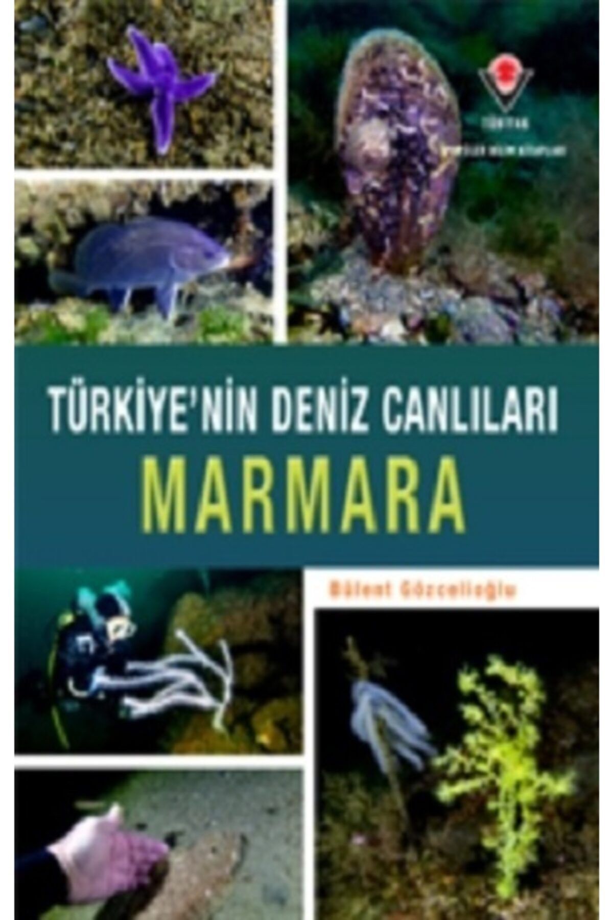 Tübitak Yayınları Türkiye'nin Deniz Canlıları Marmara (cilti Kapak)