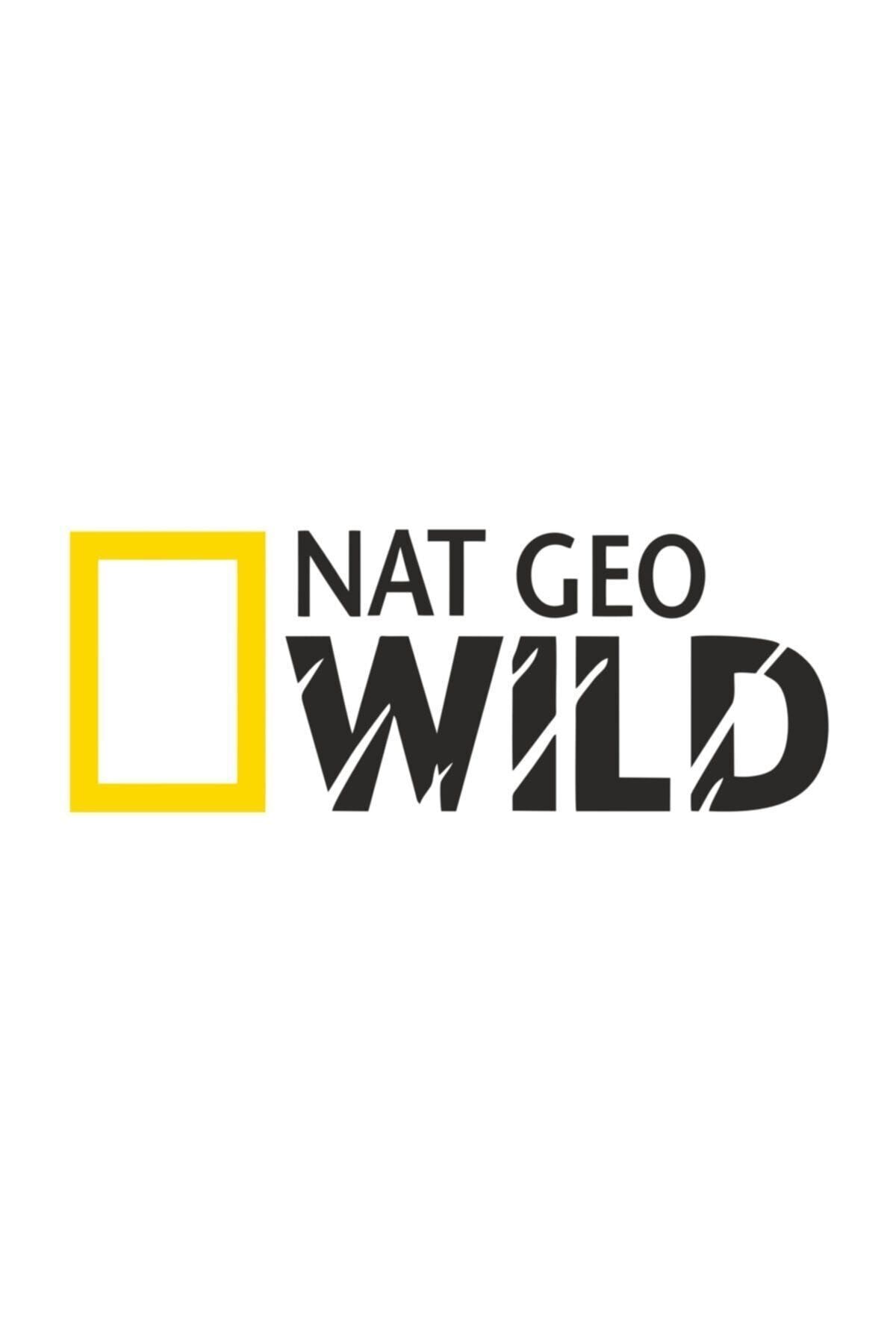 Sticker Fabrikası Nat Geo Wıld Netgeowild National Geographic Sticker 25x9 Cm 00189