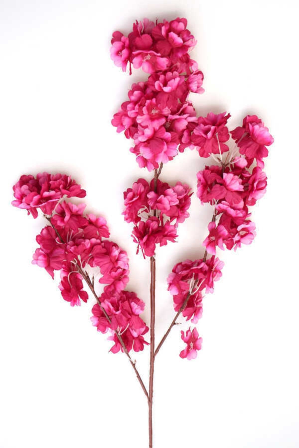 Genel Markalar 3 Adet Koyu Pembe Fuşya Renk Bahardalı Yaprak Bahardalı Pembe Bahar Çiçek