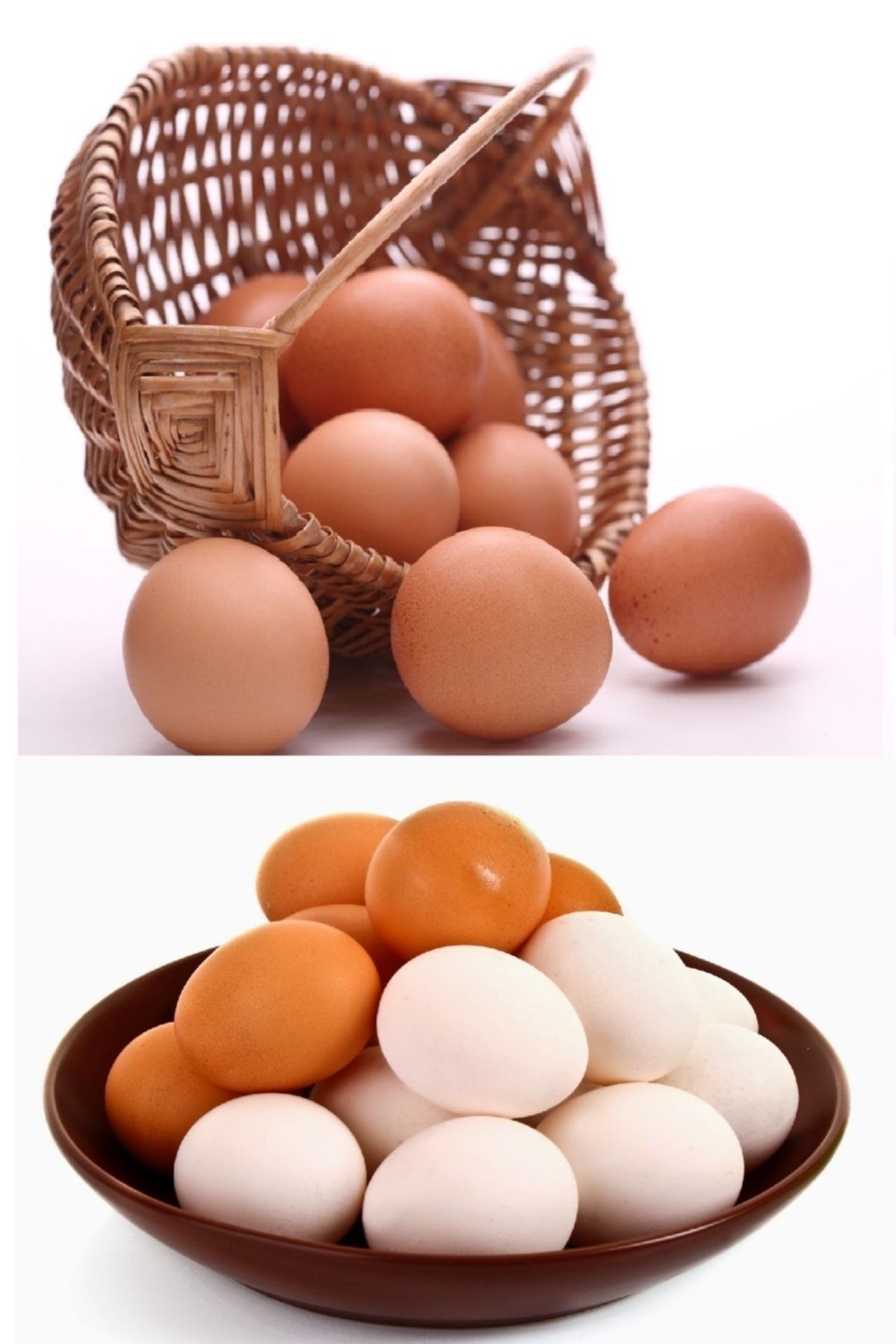 mutlu tavukçuluk Yapay Tavuk Yumurtası Orijinal Boyutta 10 Adet Kahverengi